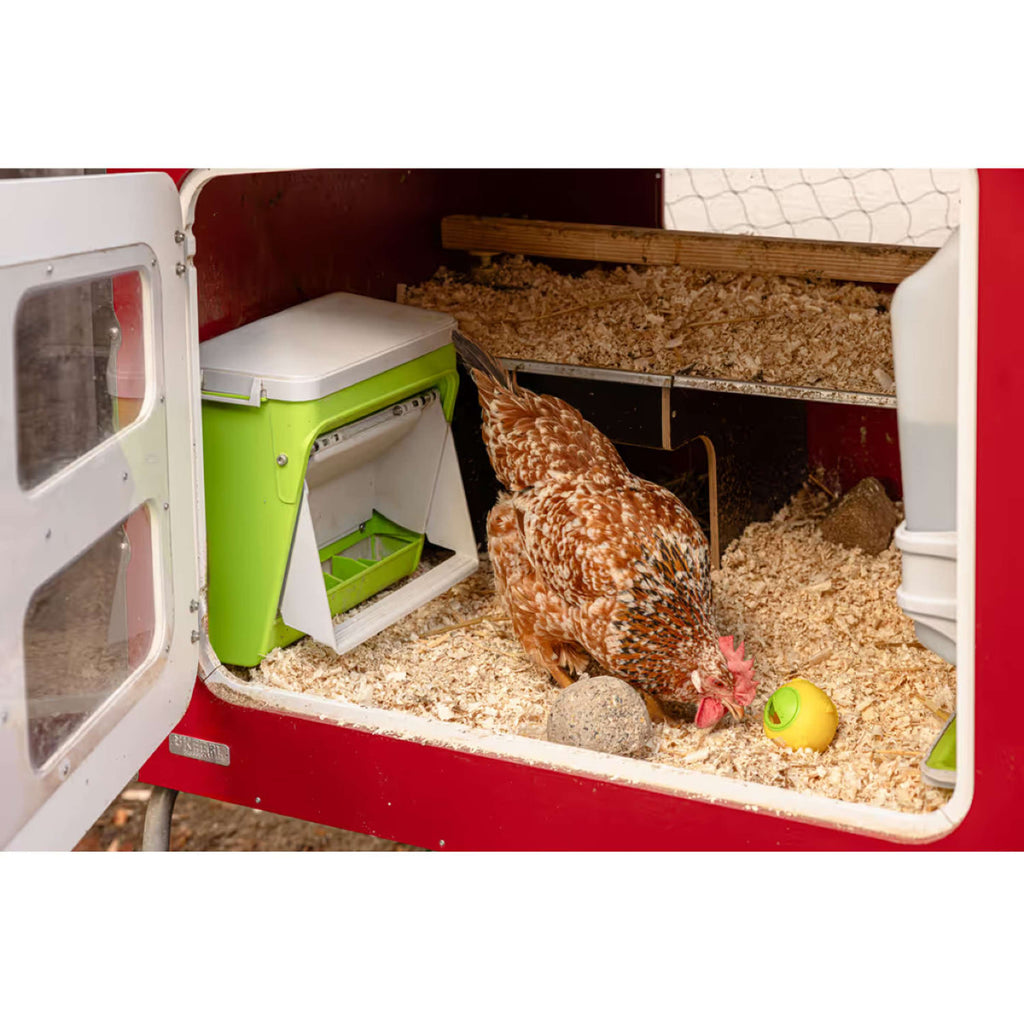 Kerbl Alimentador Automático con Solapa Protectora Verde