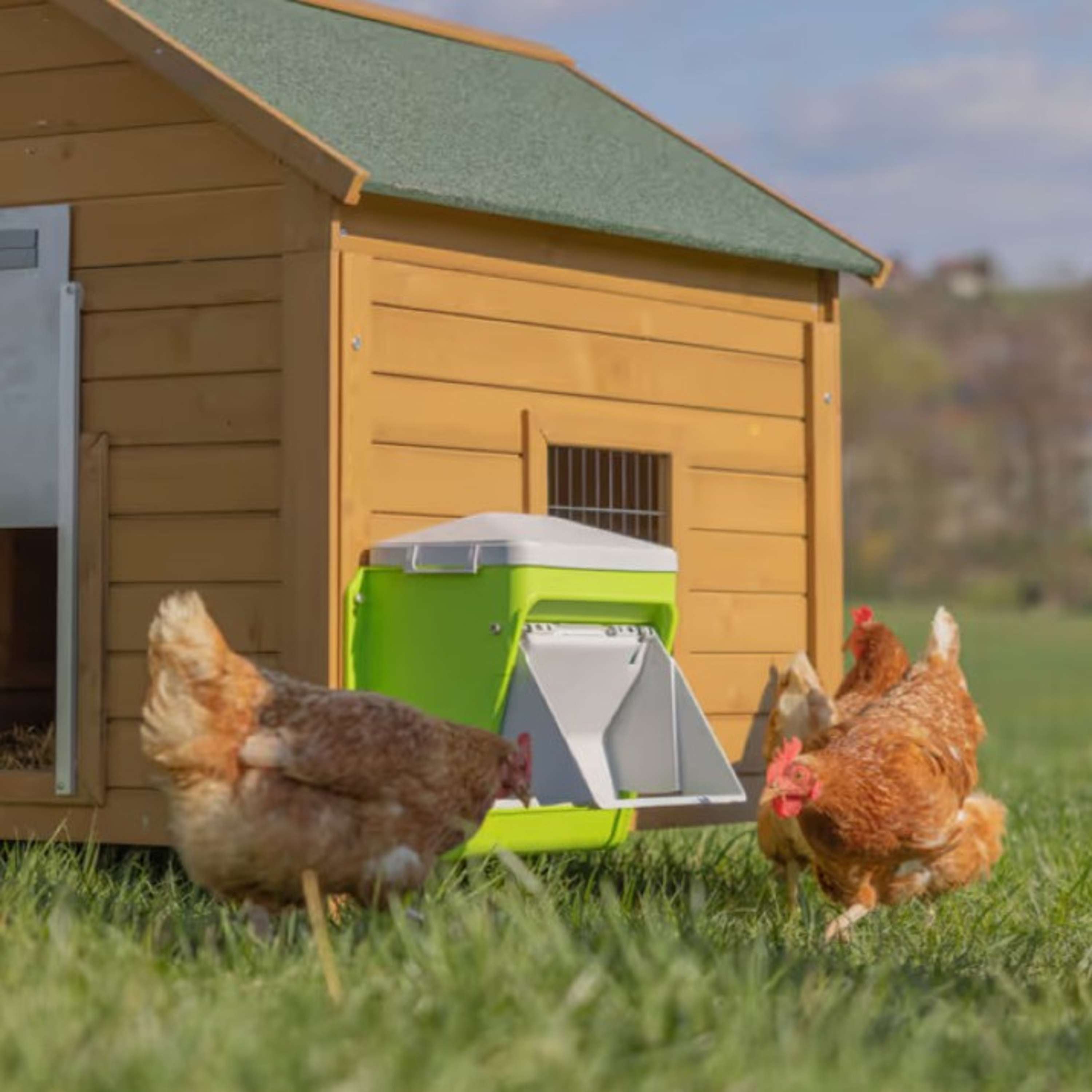 Kerbl Alimentador Automático con Solapa Protectora Verde