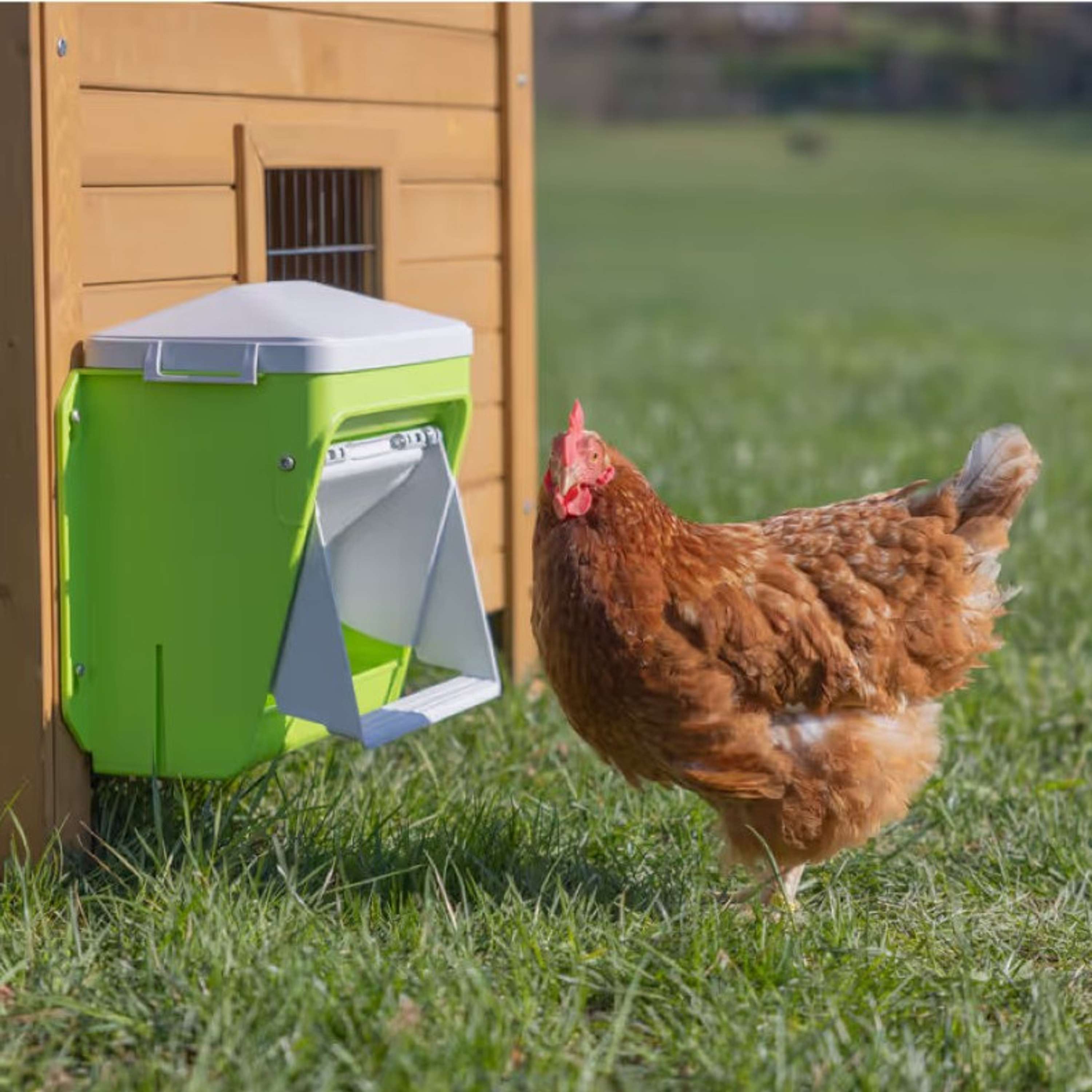 Kerbl Alimentador Automático con Solapa Protectora Verde
