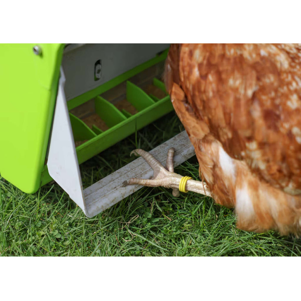 Kerbl Alimentador Automático con Solapa Protectora Verde