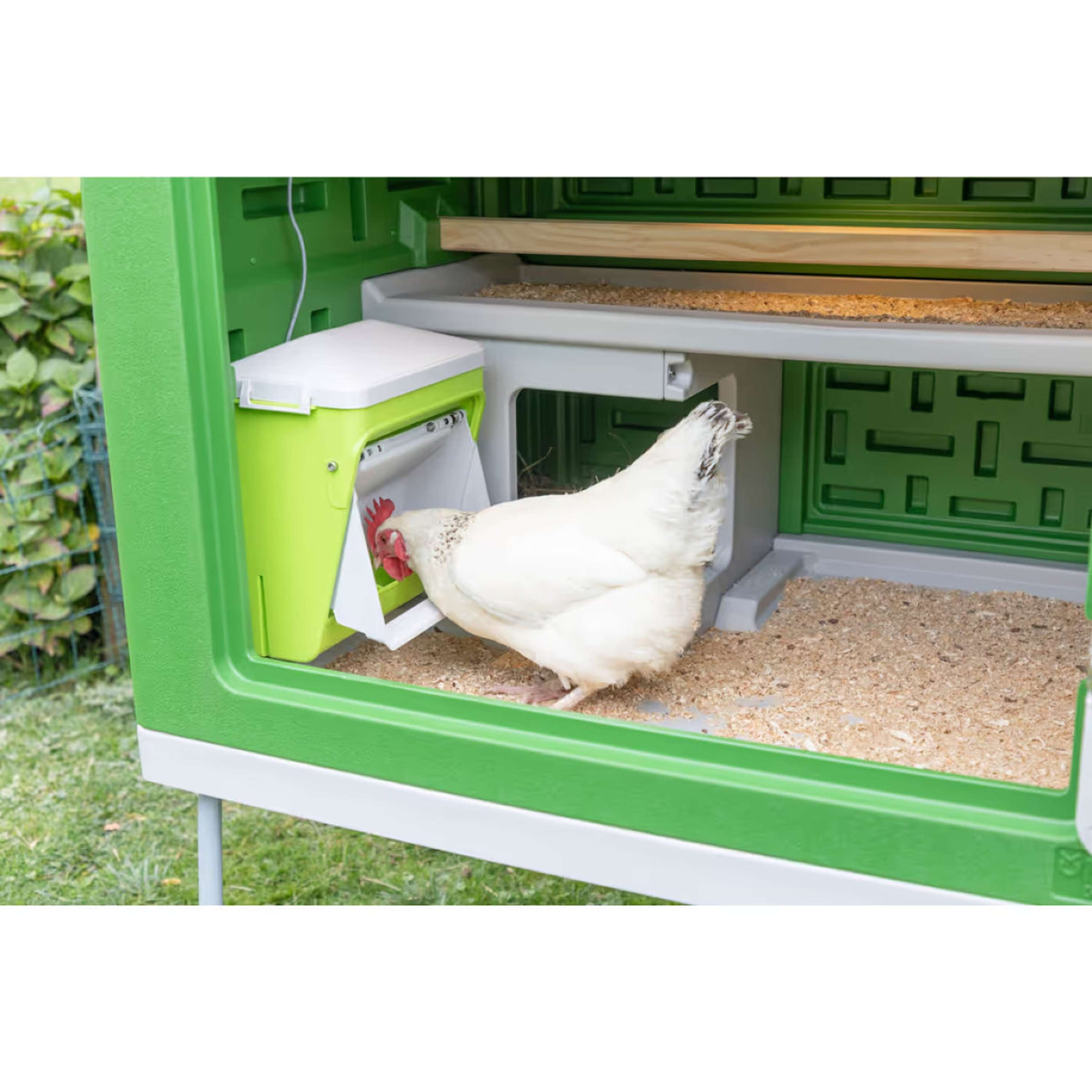 Kerbl Alimentador Automático con Solapa Protectora Verde