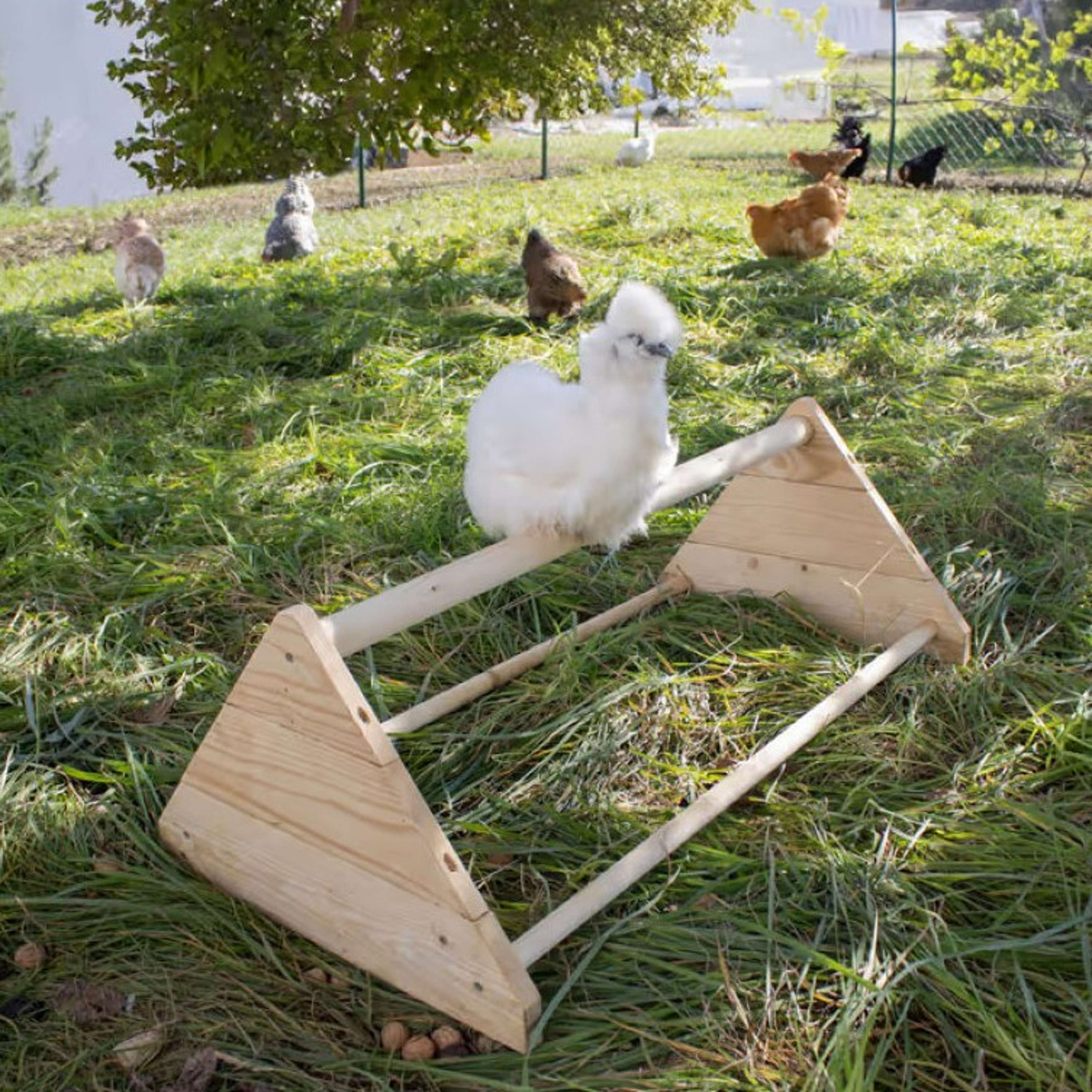 Kerbl Percha para Pollos Madera