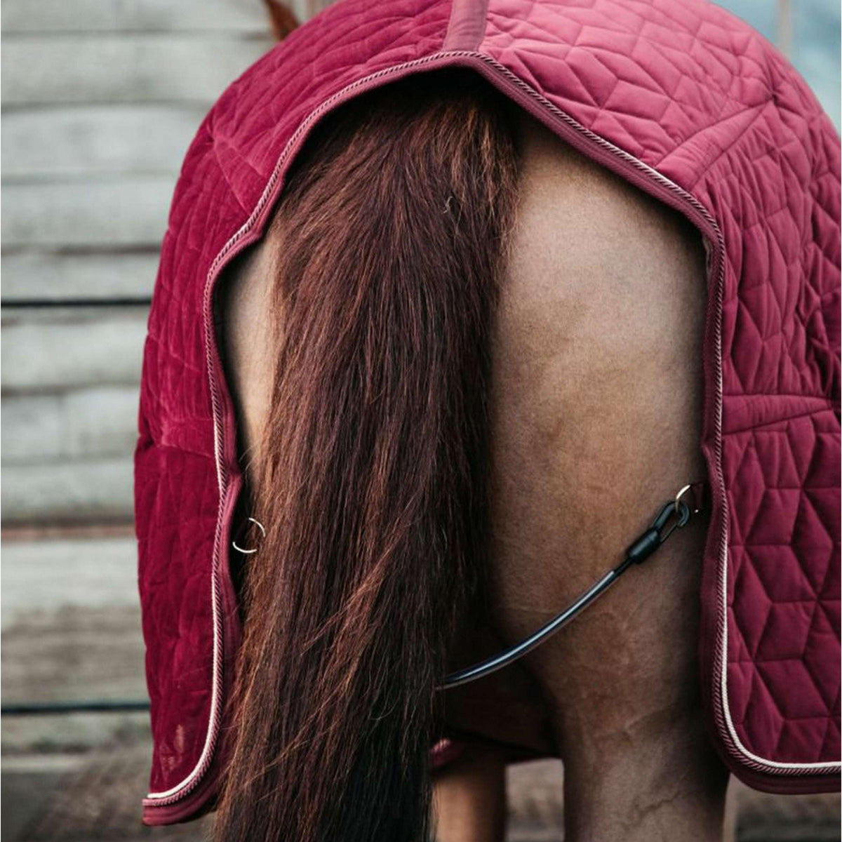 Kentucky Horsewear Manta de exhibición Velvet Bordeaux