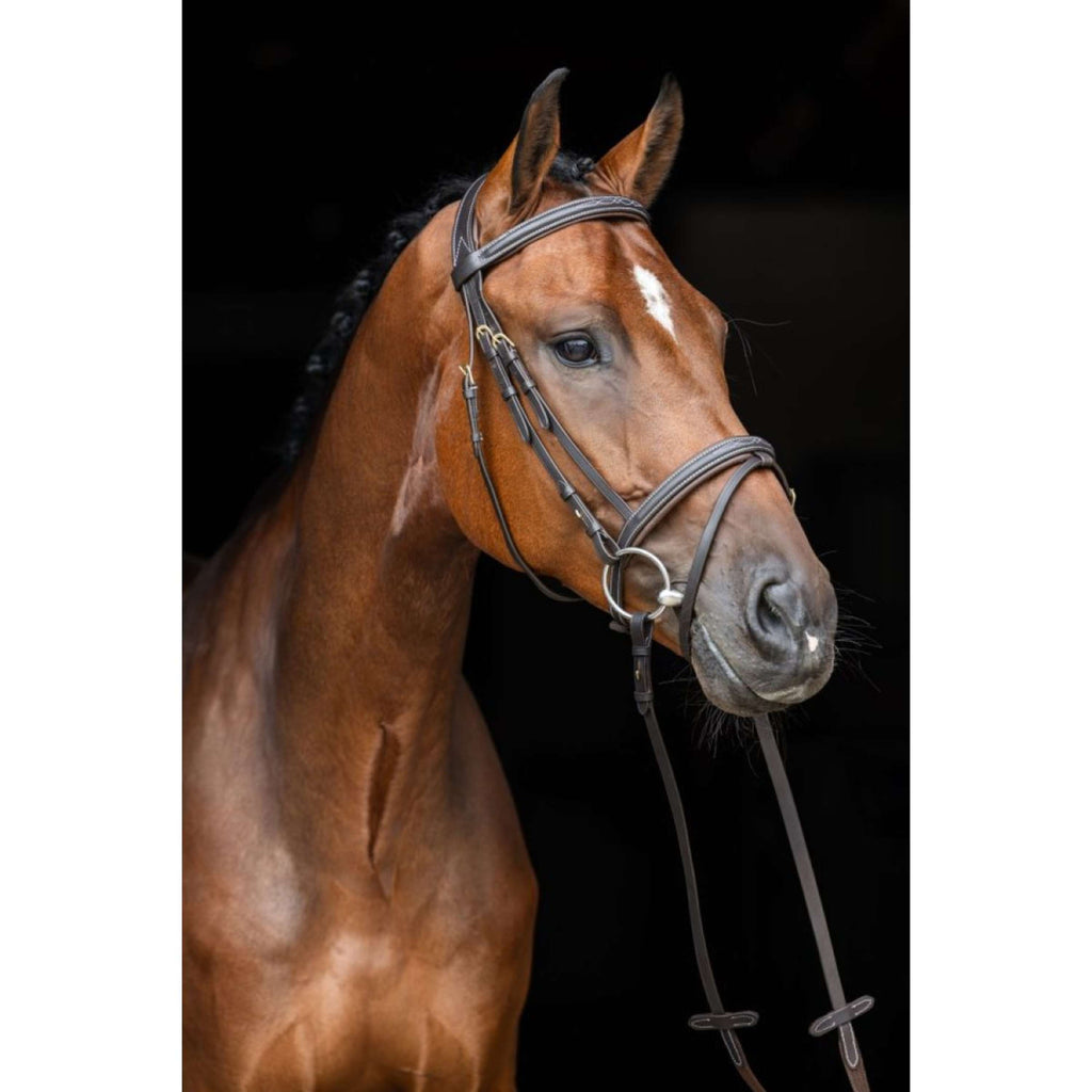 Kerbl Cabezada Classic de Cuero Marron clasico