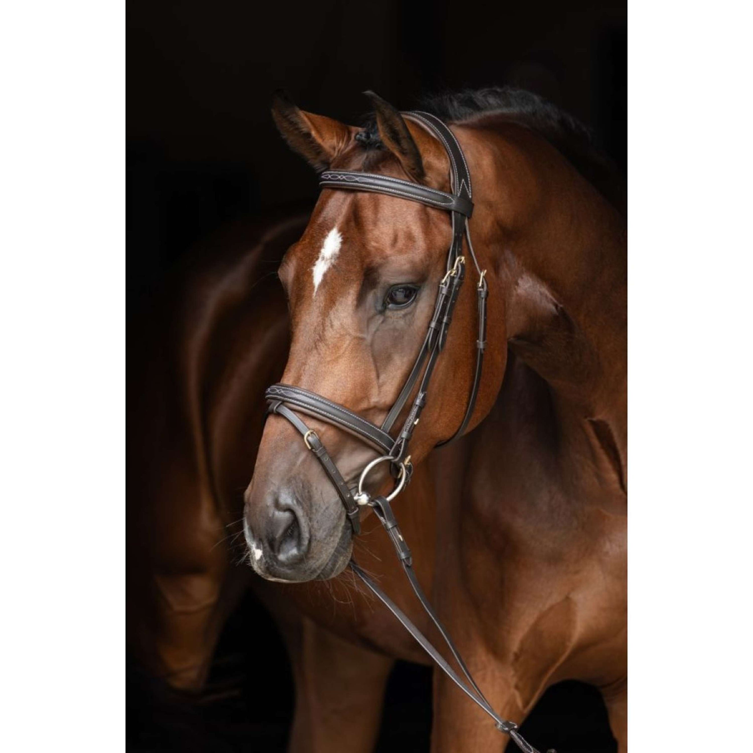 Kerbl Cabezada Classic de Cuero Marron clasico