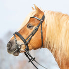 Kieffer Brida Ultrasoft Haflinger Negro/Blancas Piedras