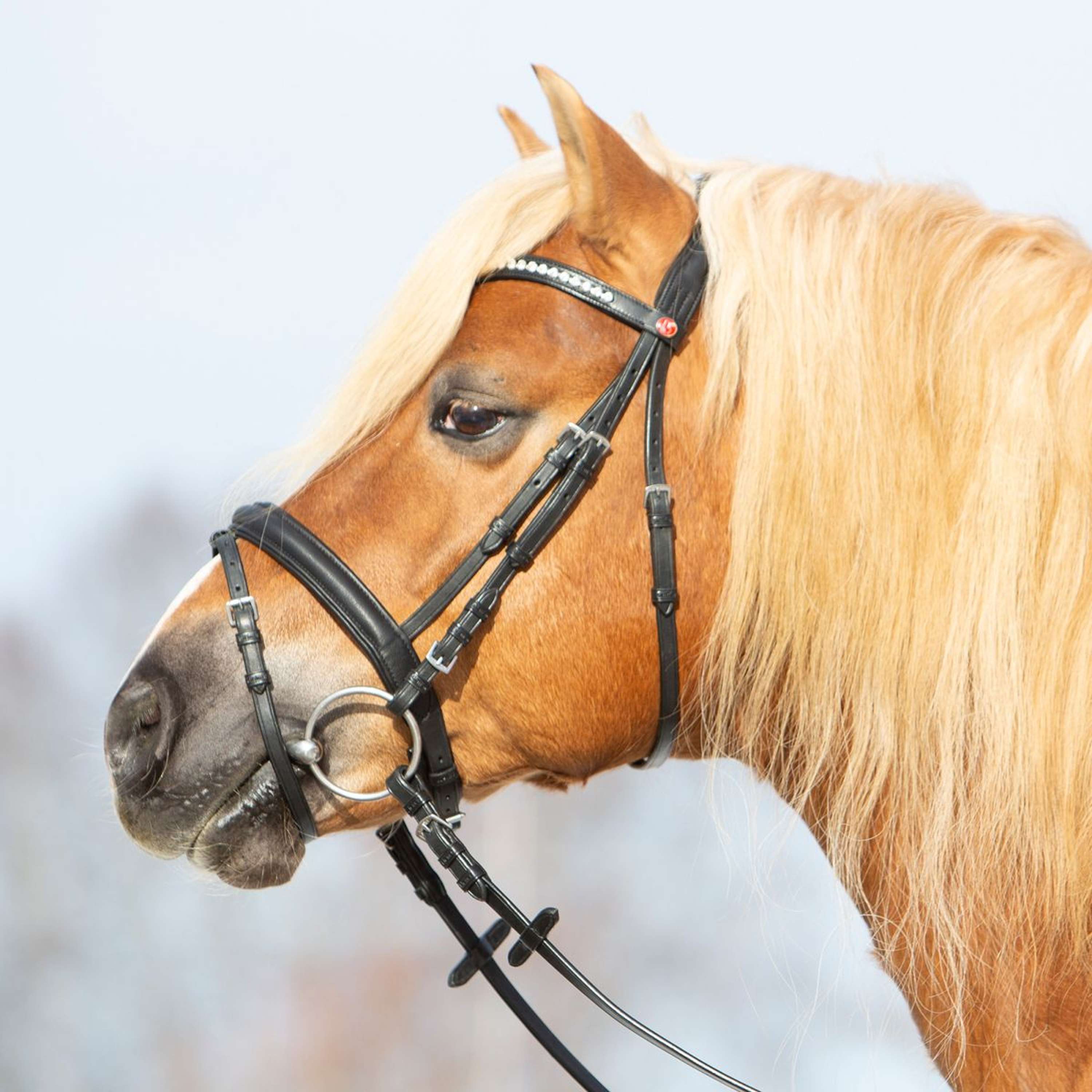 Kieffer Brida Ultrasoft Haflinger Negro/Blancas Piedras