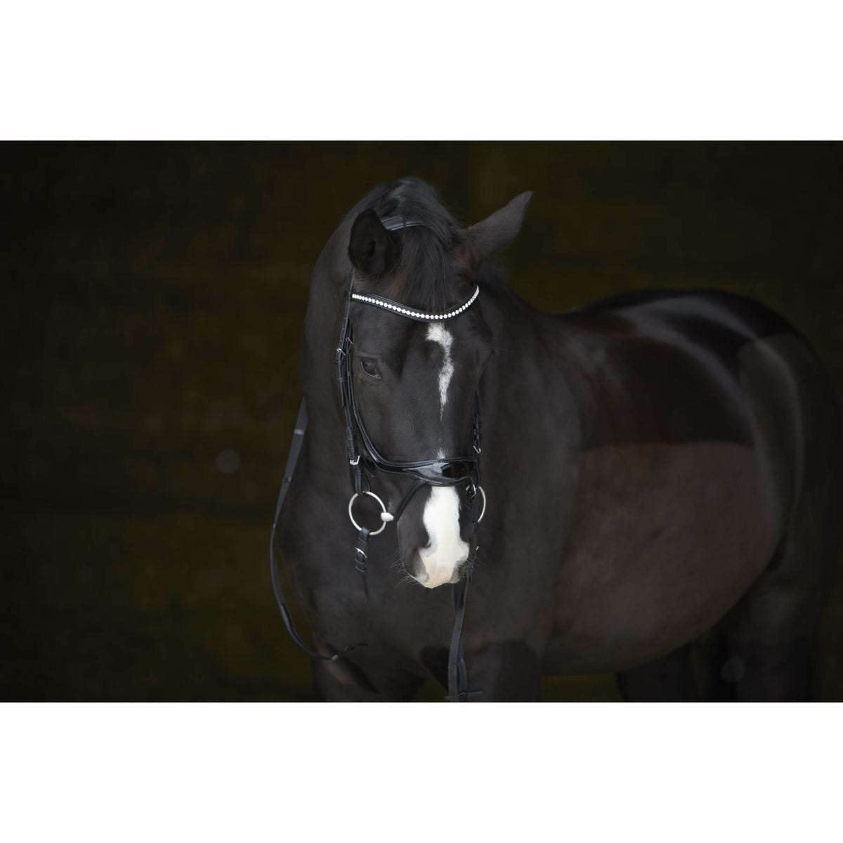 Kieffer Brida Amy Shine Negro