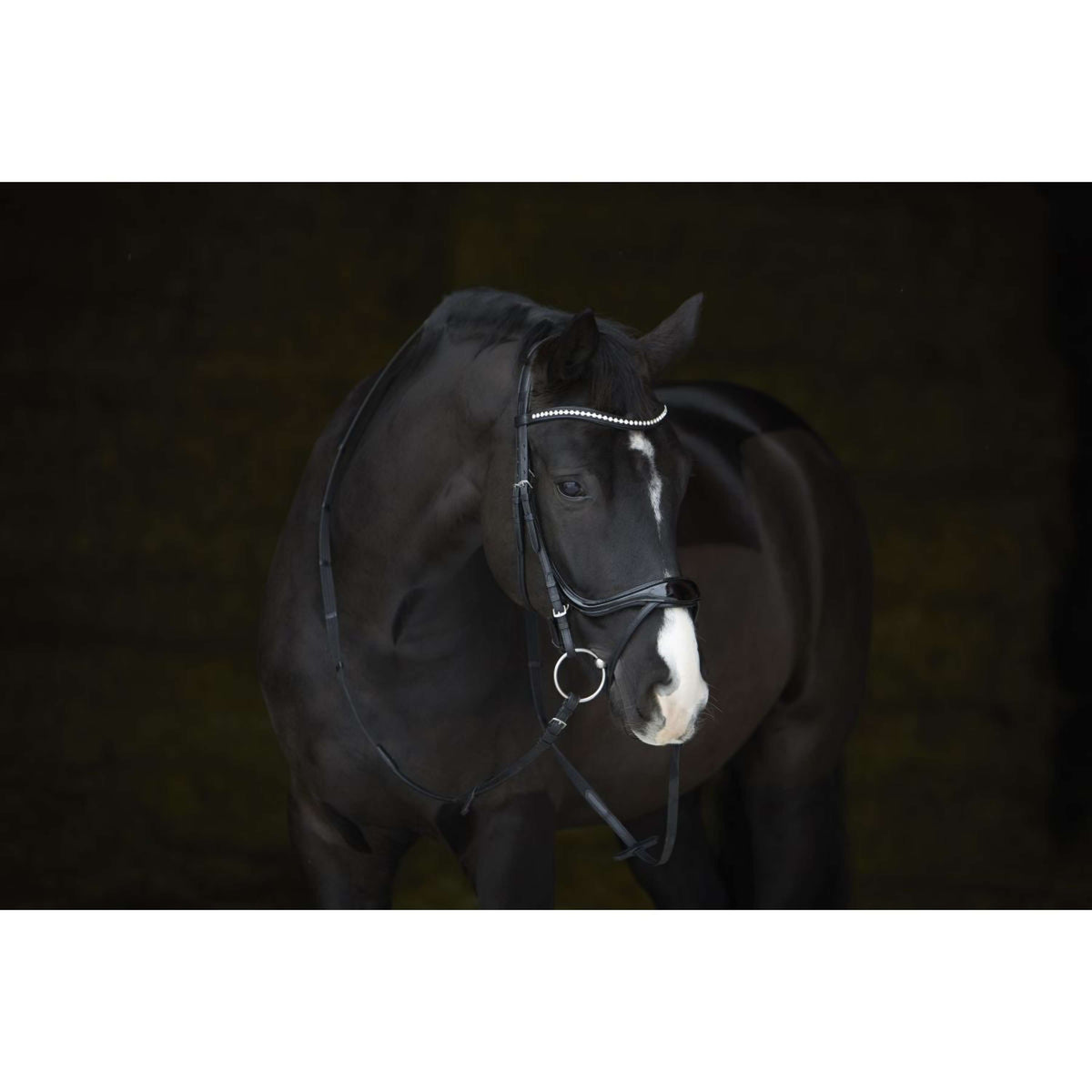 Kieffer Brida Amy Shine Negro