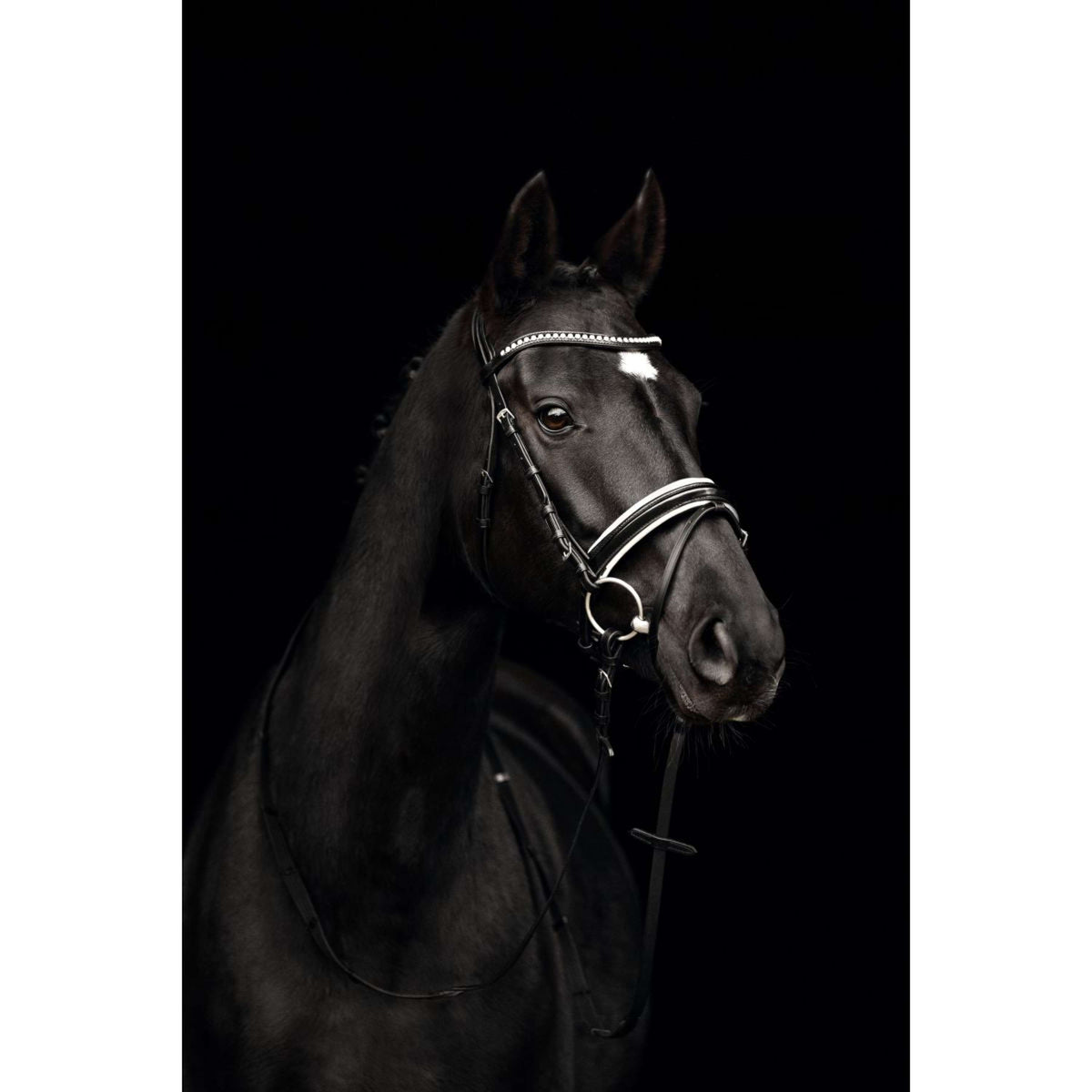 Kieffer Brida Comfort Paris Negro/Blanco