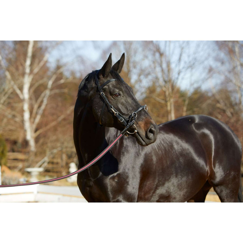 Kieffer Cabezón Utrasoft Negro