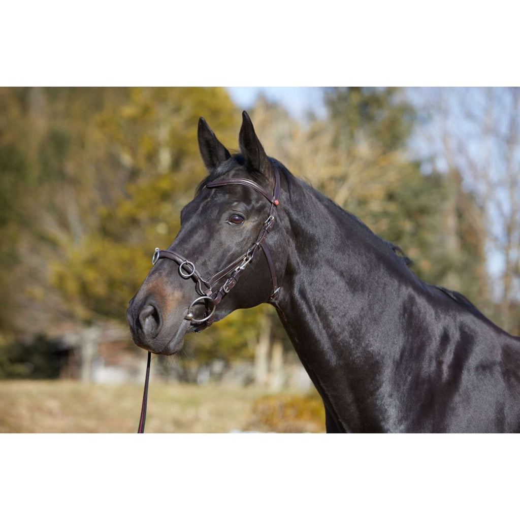 Kieffer Cabezón Utrasoft Negro