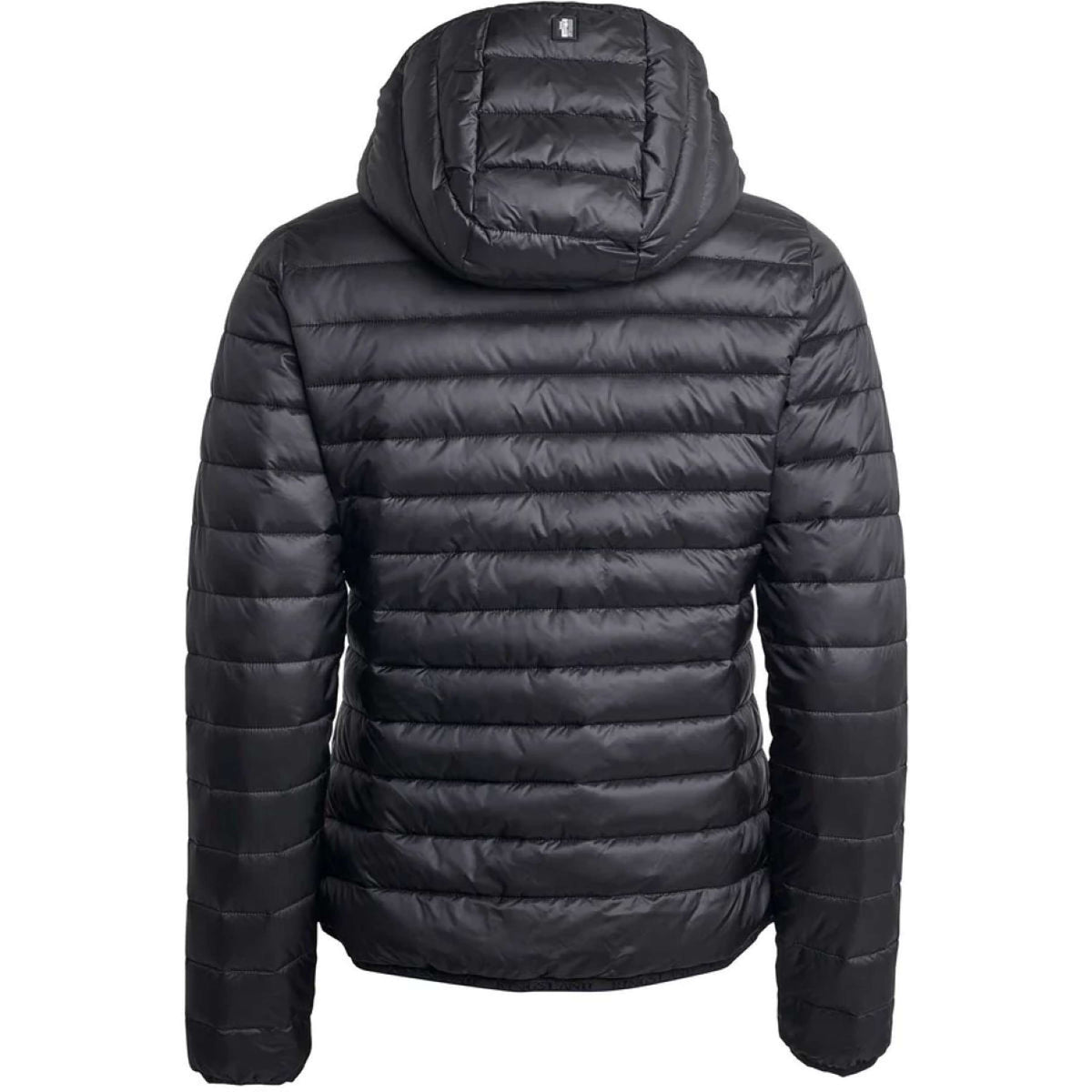 Kingsland Chaqueta Classic Negro