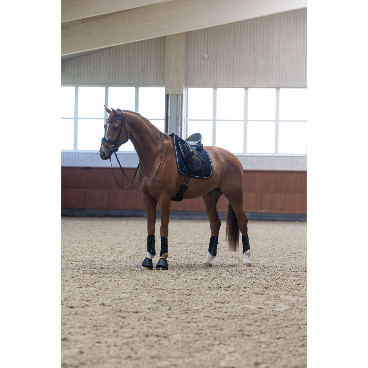 Kingsland Botas para Caballos KLLucca Navy