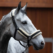 Kingsland Juego de Cabestro KLLexie con Piel Negro