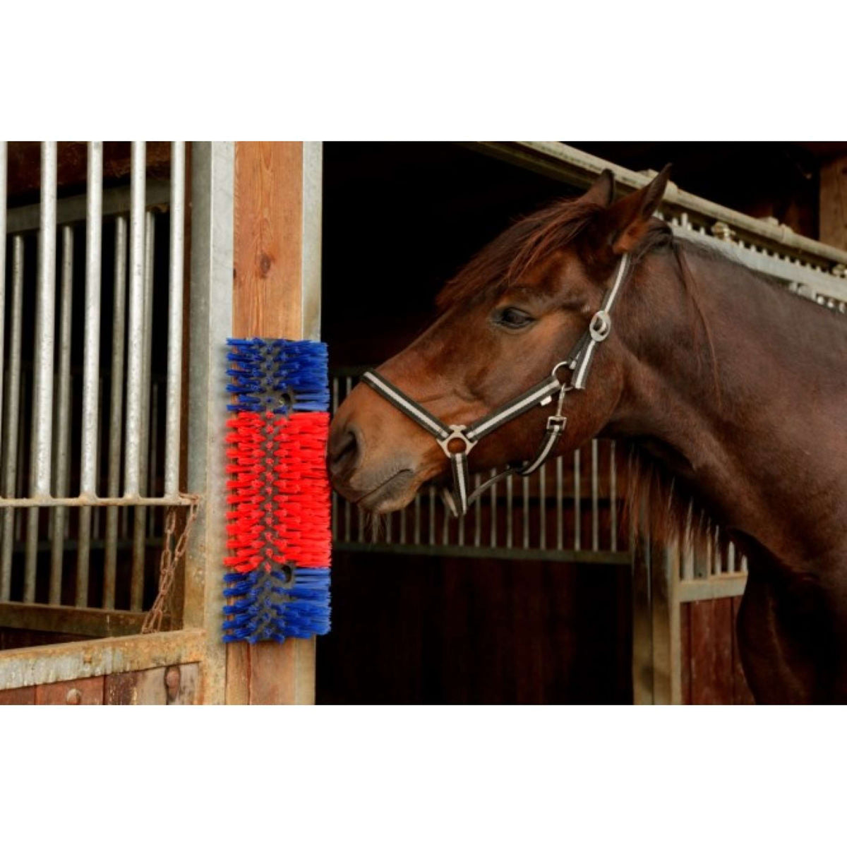 Kerbl Cepillo Semicircular