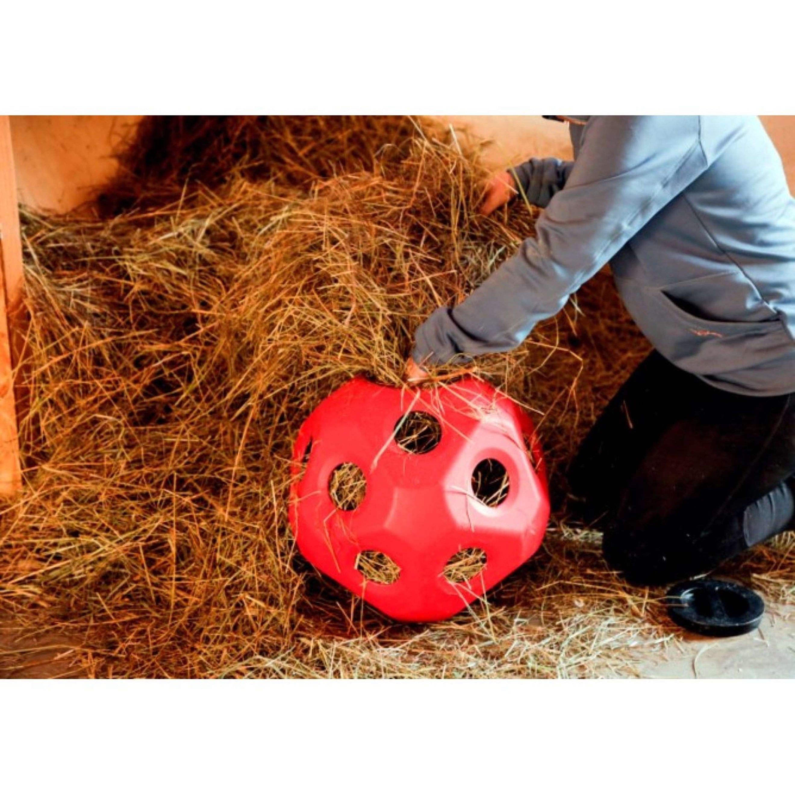 Kerbl Pelota Slowfeeder HeuBoy Rojo Kerbl Pelota Slowfeeder HeuBoy Rojo