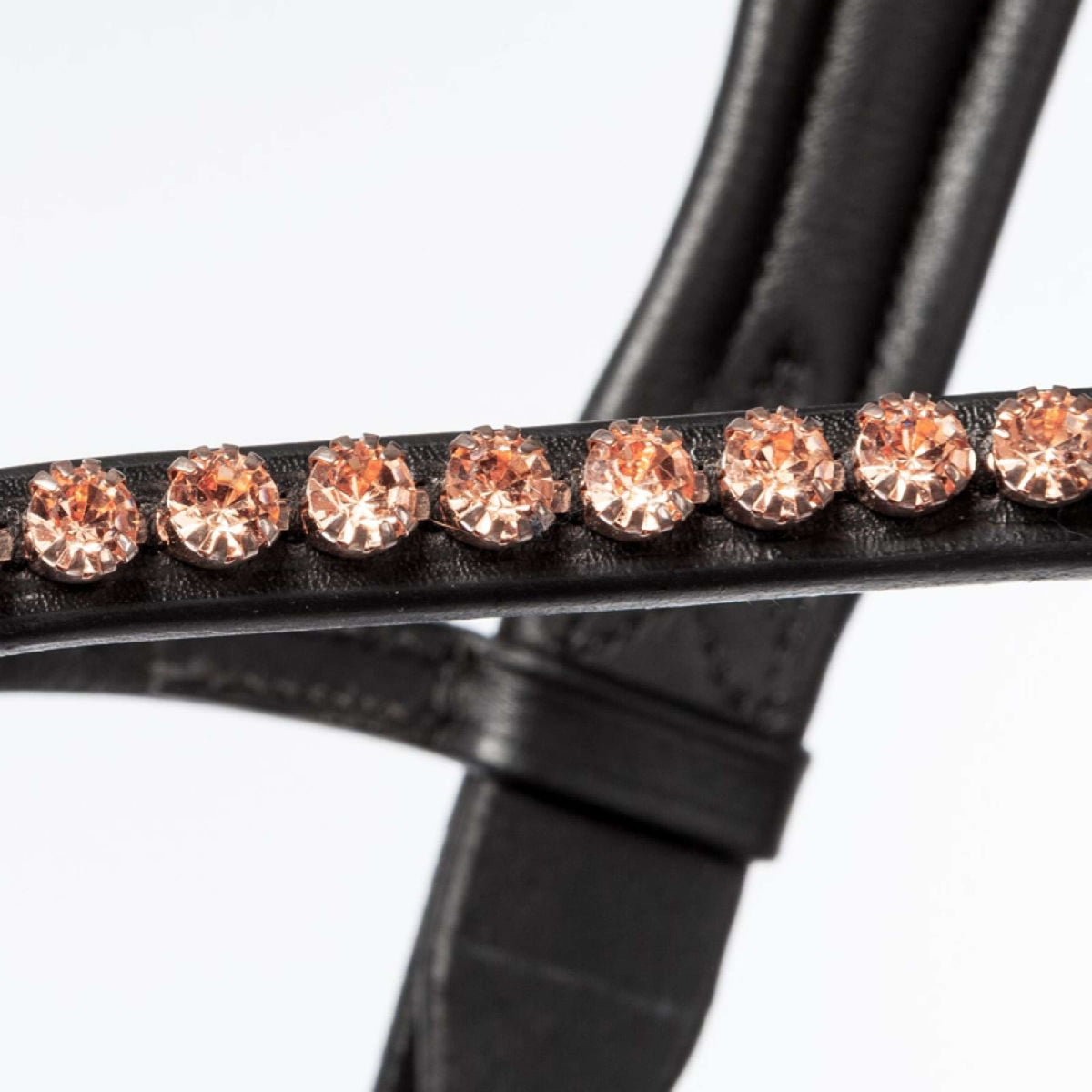 Kavalkade Brida Rose Negro