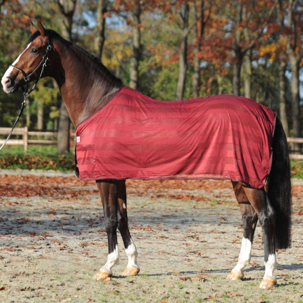 Kavalkade Manta Antimoscas Stripe Bordeaux