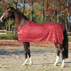 Kavalkade Manta Antimoscas Stripe Bordeaux