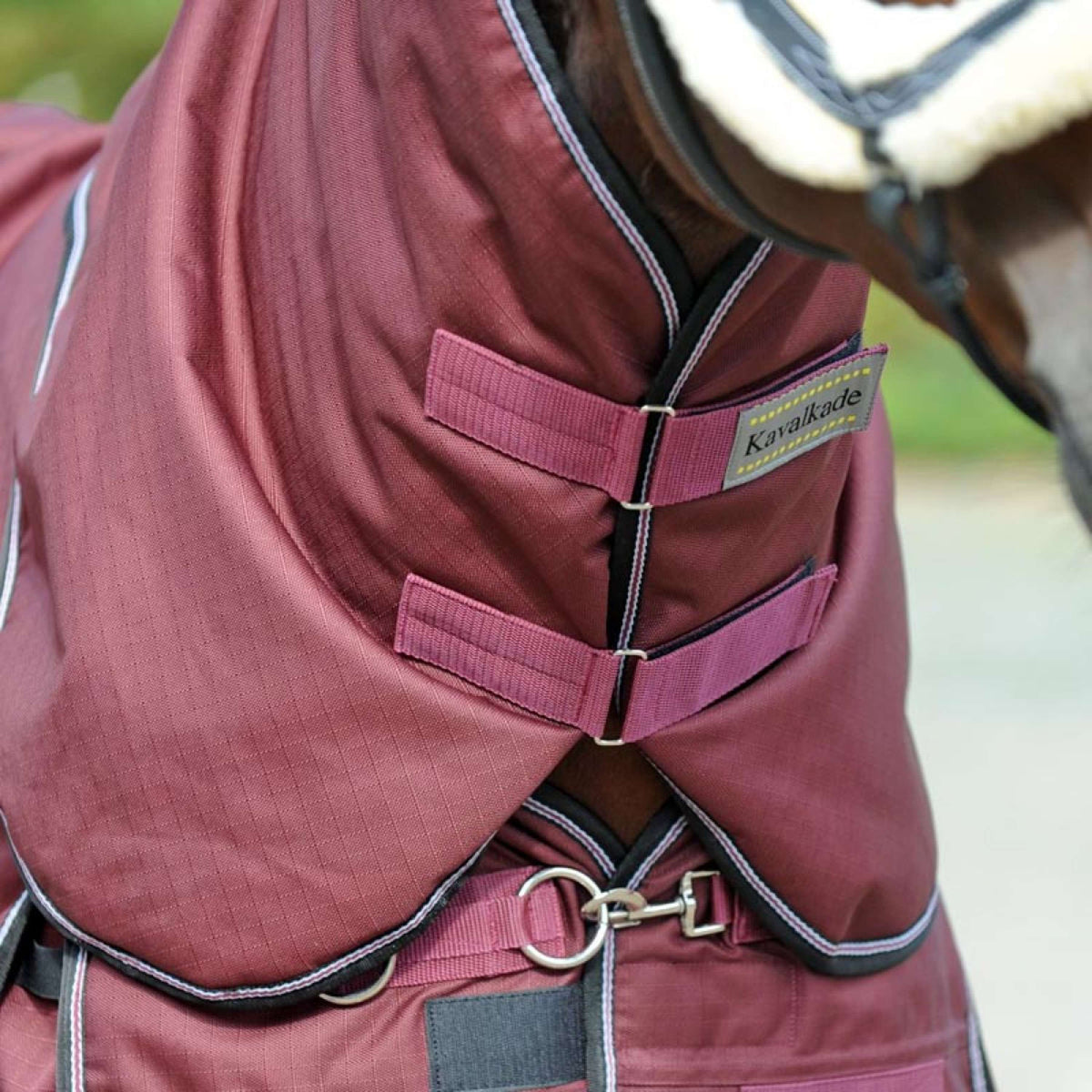 Kavalkade Cubrecuellos Alaska IV 100g Bordeaux