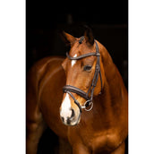 LeMieux Brida Arika Dressage Marron<>Plata<>Gris