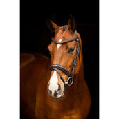 LeMieux Brida Arika Dressage Marron<>Plata<>Gris