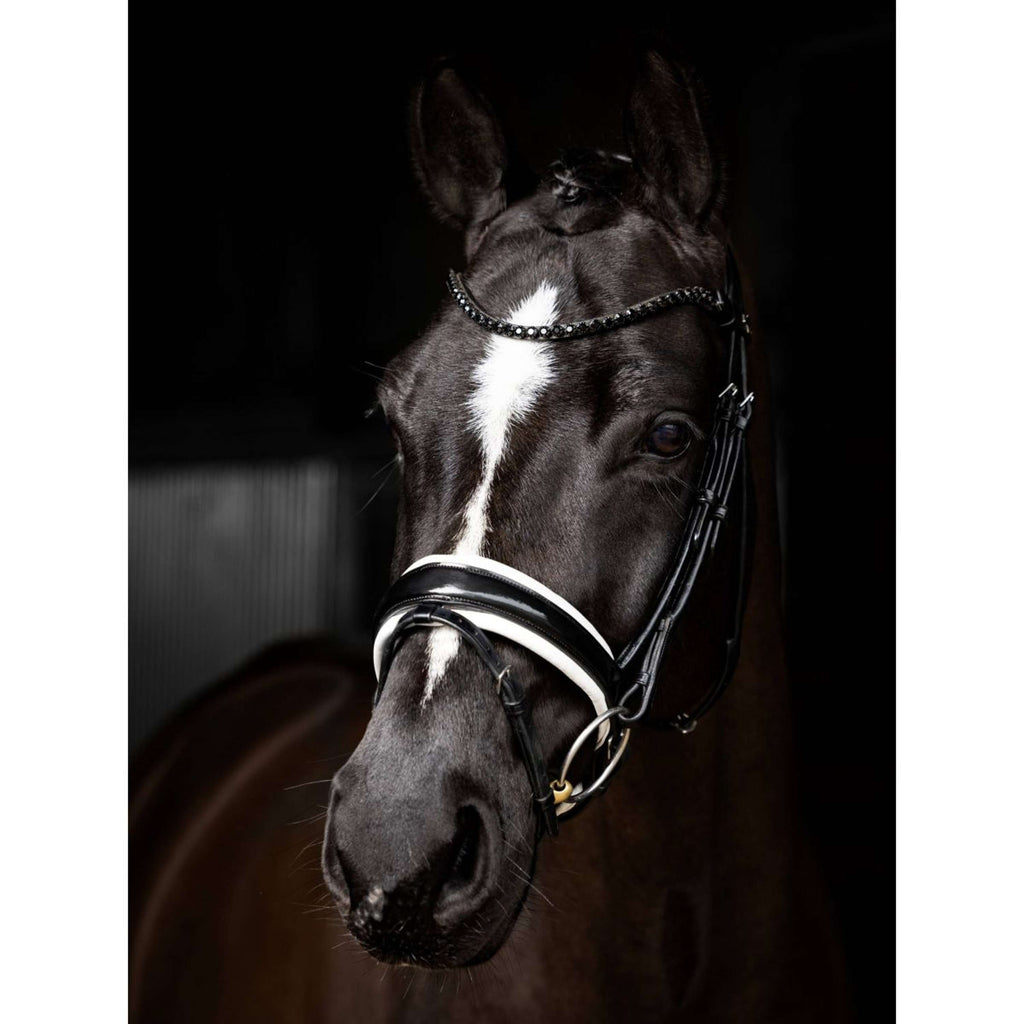 LeMieux Brida Kudos Patent Doma Negro/Plata