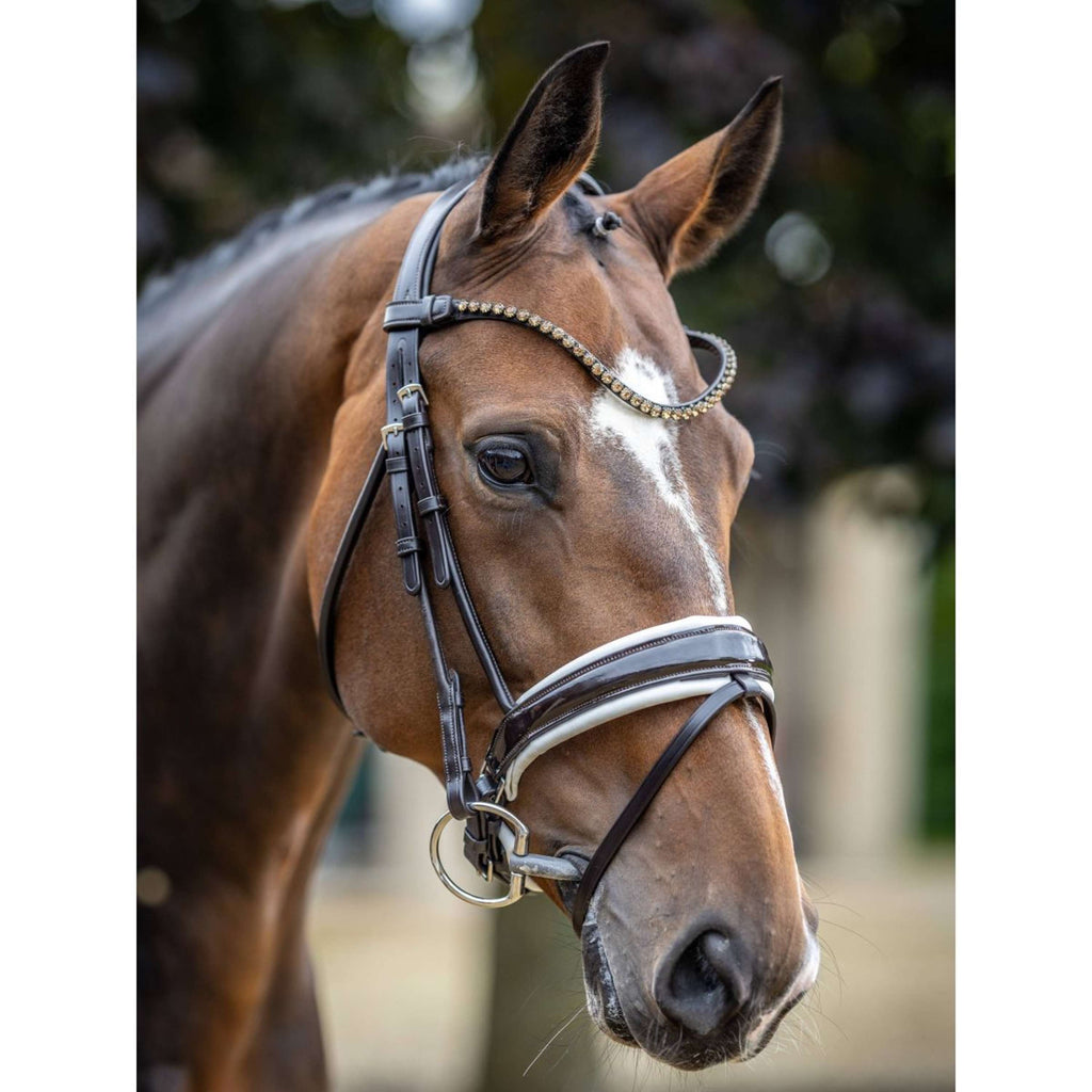 LeMieux Brida Kudos Patent Doma Marron Blanco