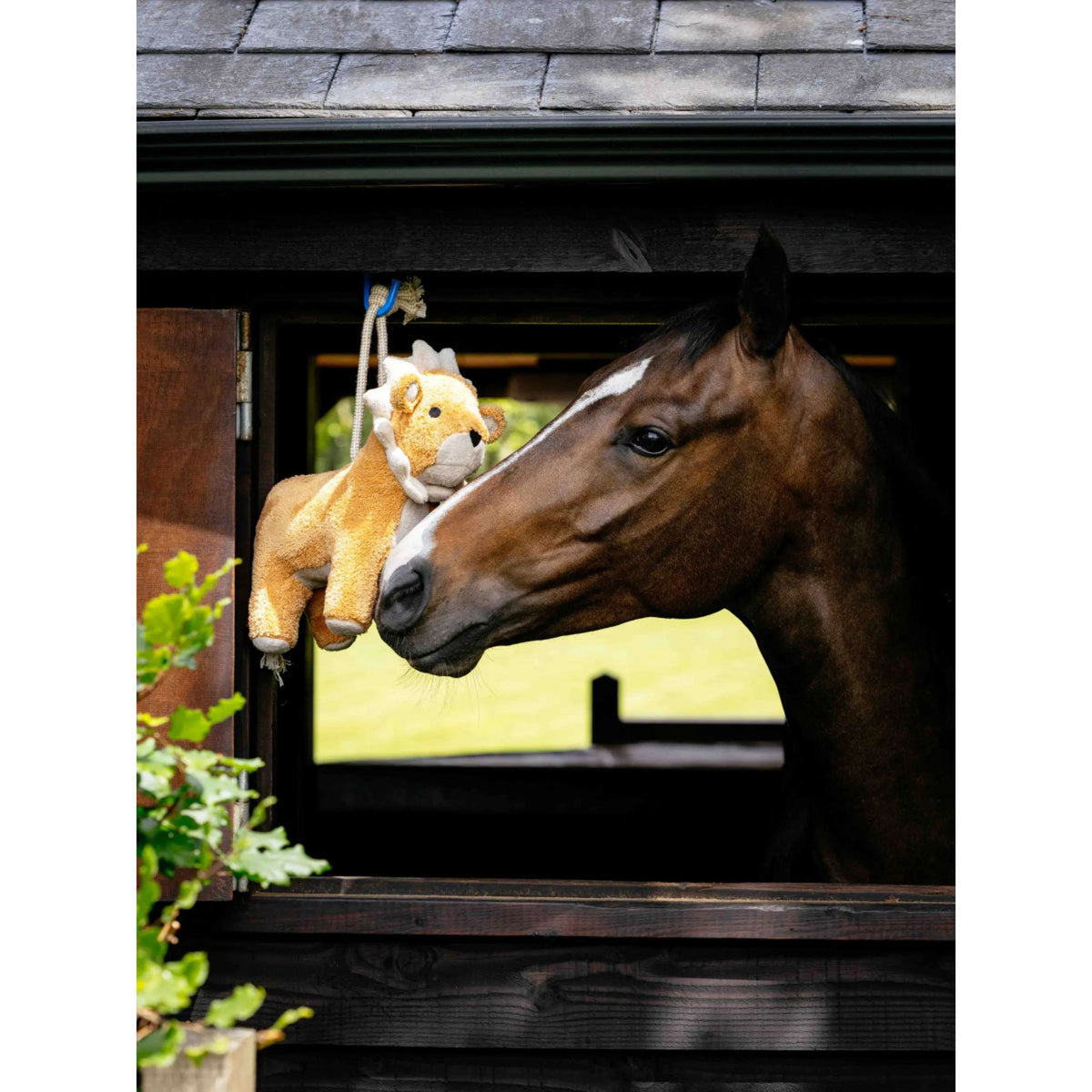 LeMieux Horse Toy Lion Naranja
