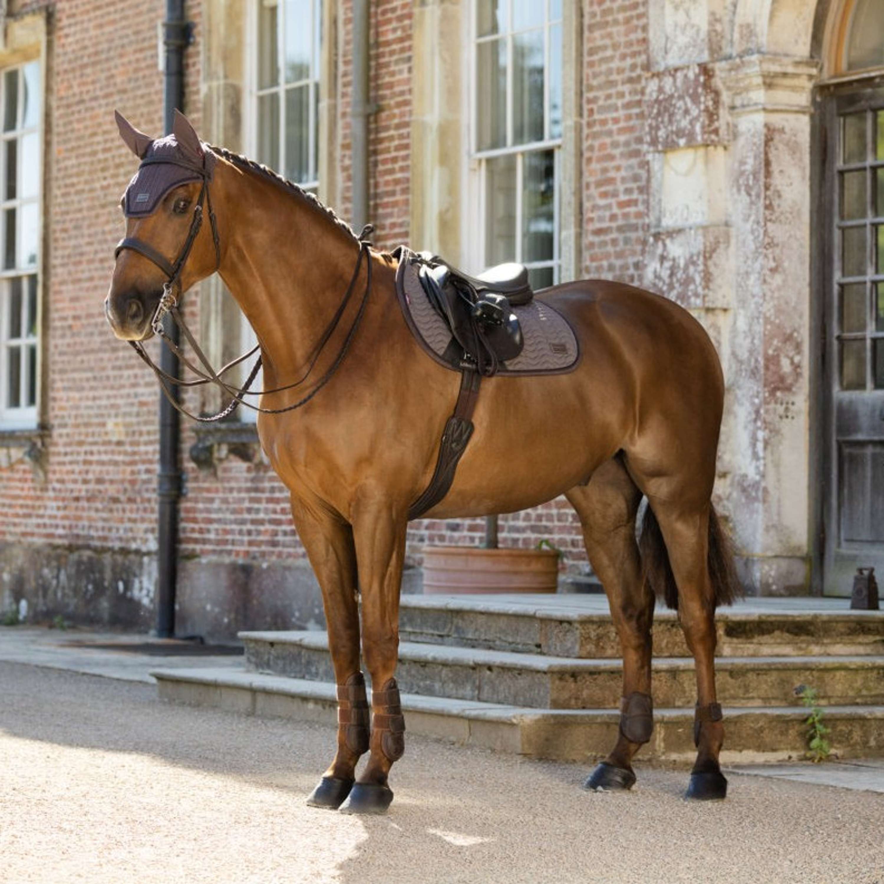 LeMieux Mantilla Heritage Herringbone Square Saltando Cocoa