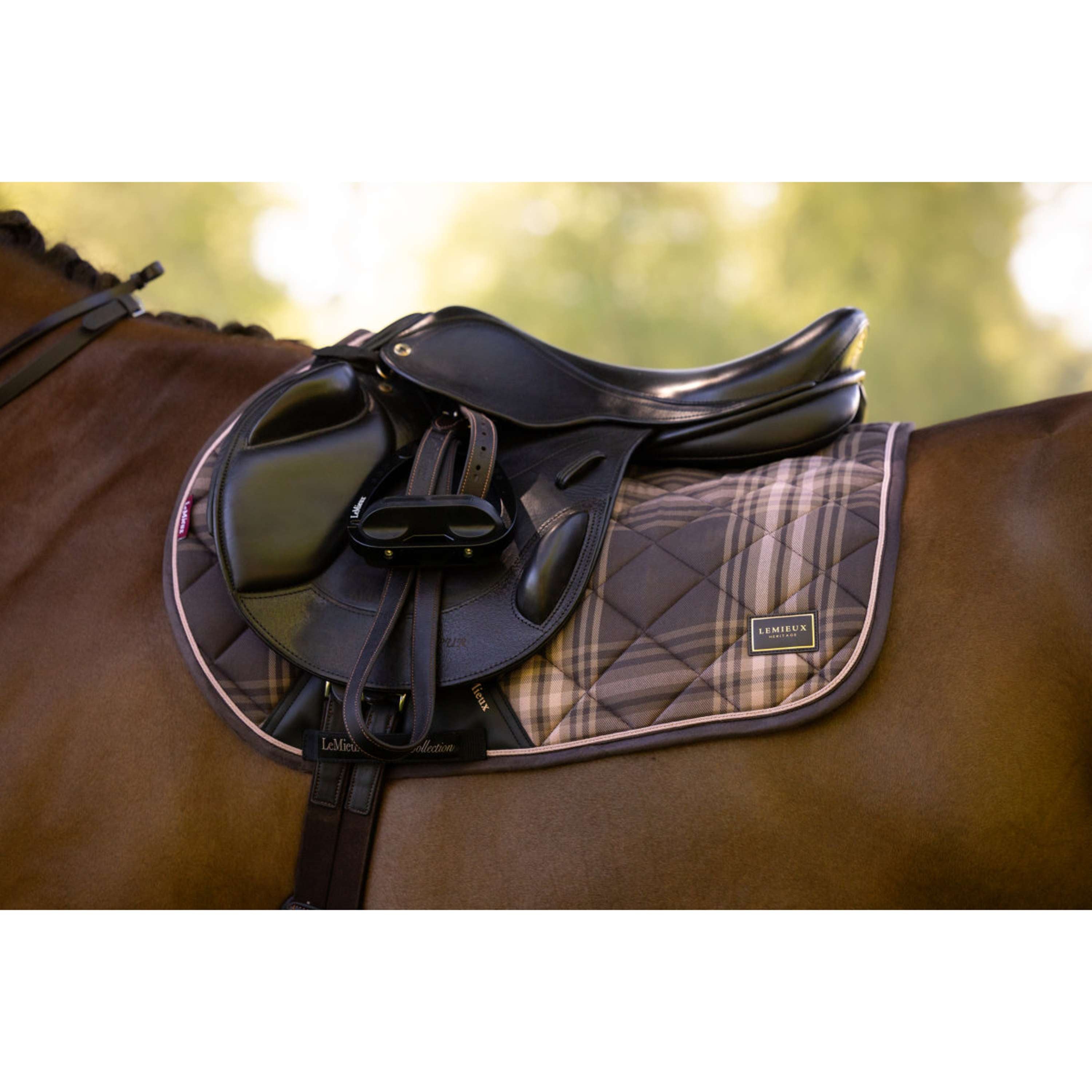 LeMieux Mantilla Heritage Check Square Saltando Cocoa