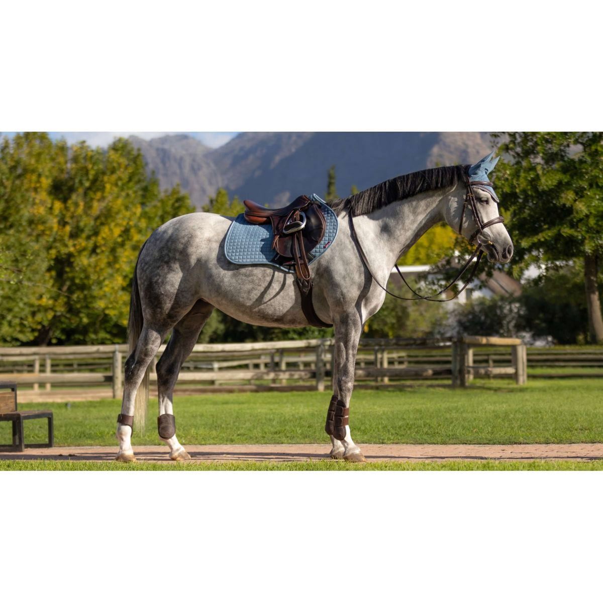 LeMieux Mantilla Suede Square Close Contact Ice Blue
