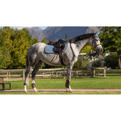 LeMieux Mantilla Suede Square Close Contact Ice Blue
