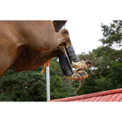 LeMieux Eventing Boots MIMsafe Atrás Negro