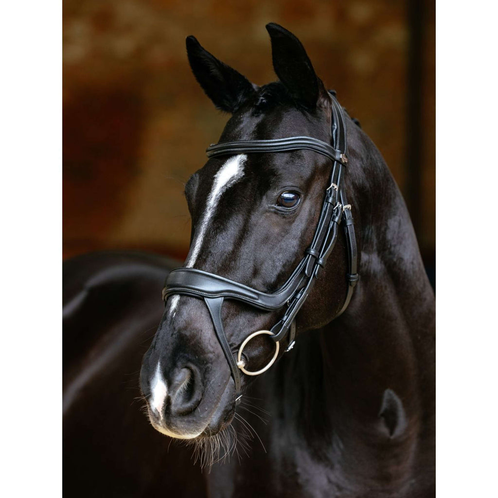 LeMieux Brida Arika Split Noseband Negro