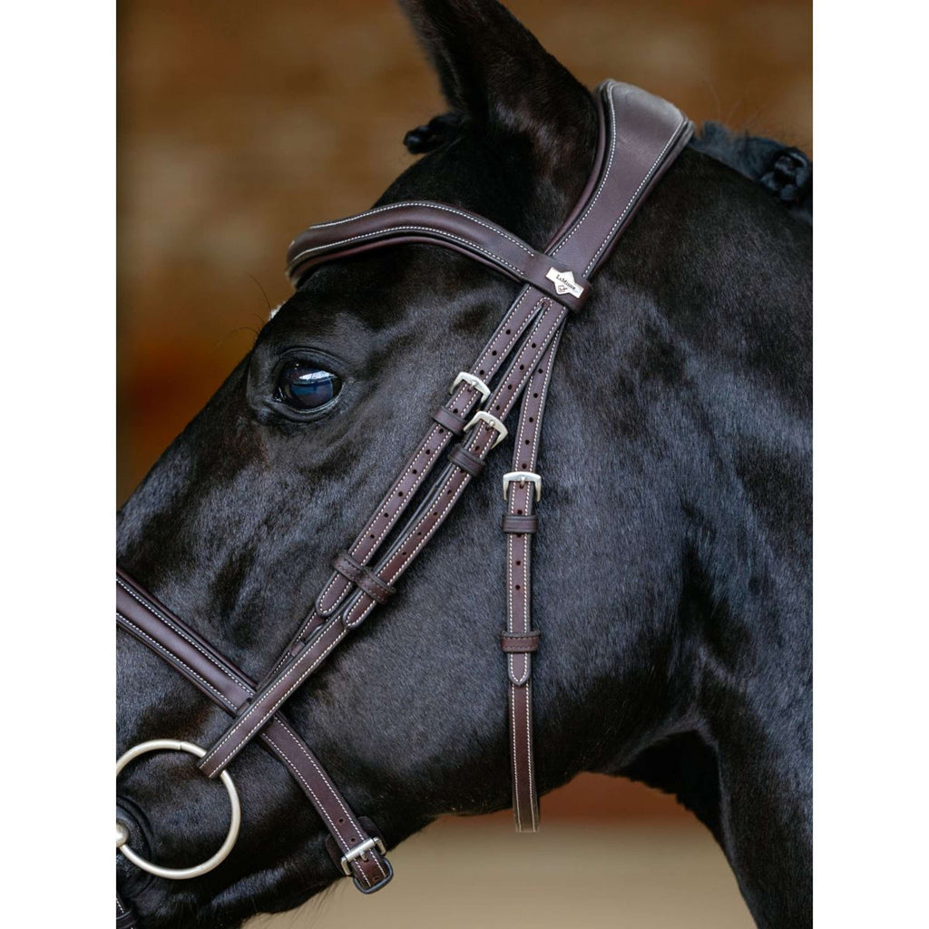 LeMieux Brida Kudos Contour Flash Marron