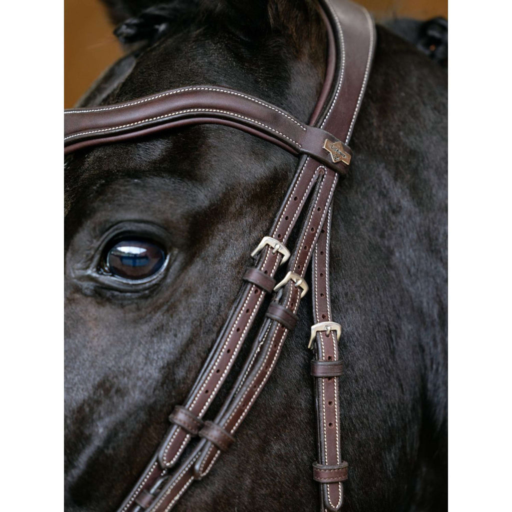 LeMieux Brida Kudos Contour Flash Marron