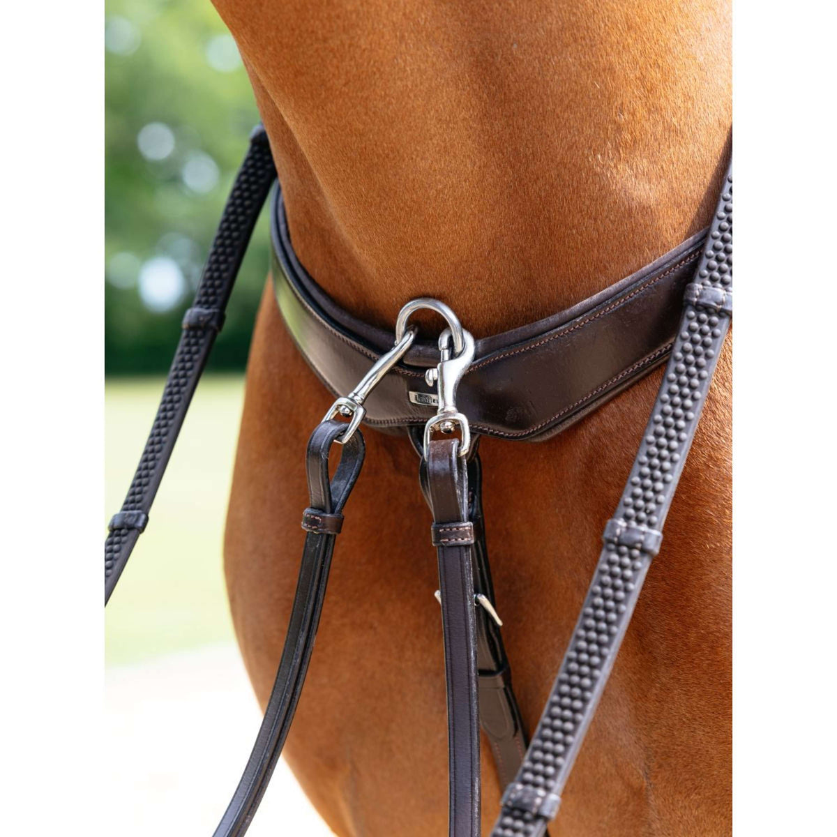 LeMieux Arnés de Pecho Kudos Bridge Habana