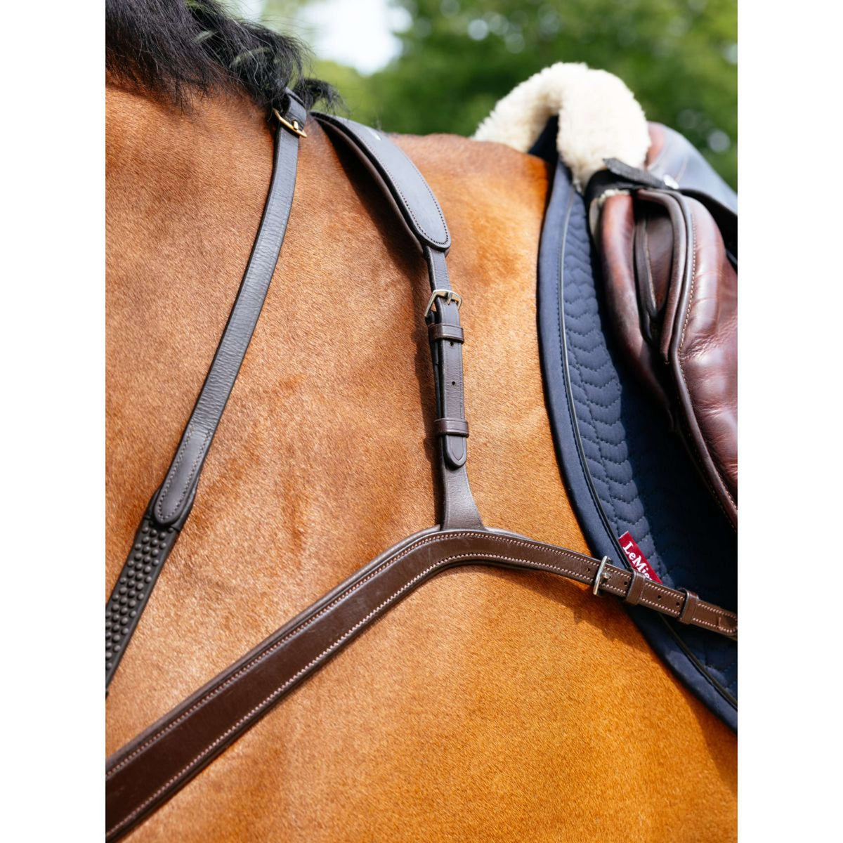 LeMieux Arnés de Pecho Kudos Bridge Habana