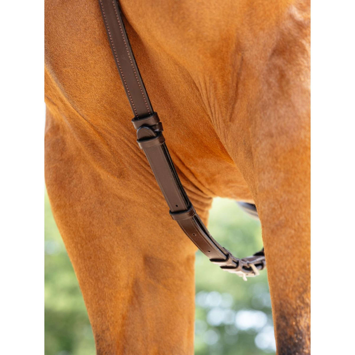 LeMieux Arnés de Pecho Kudos Bridge Habana