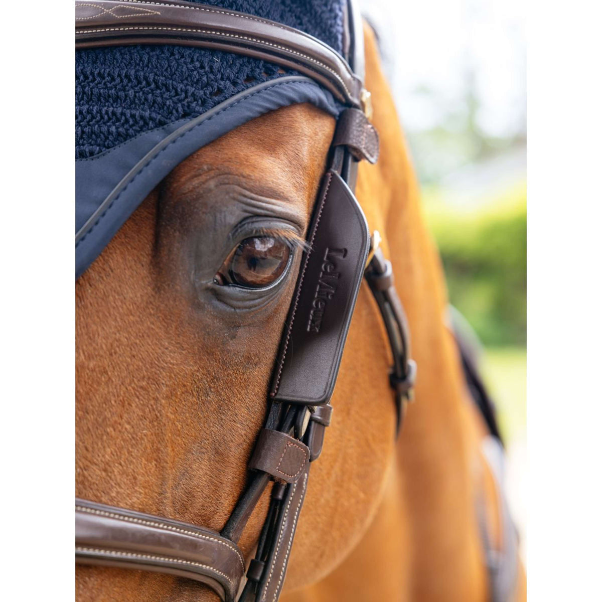 LeMieux Parpadeador Leather Habana