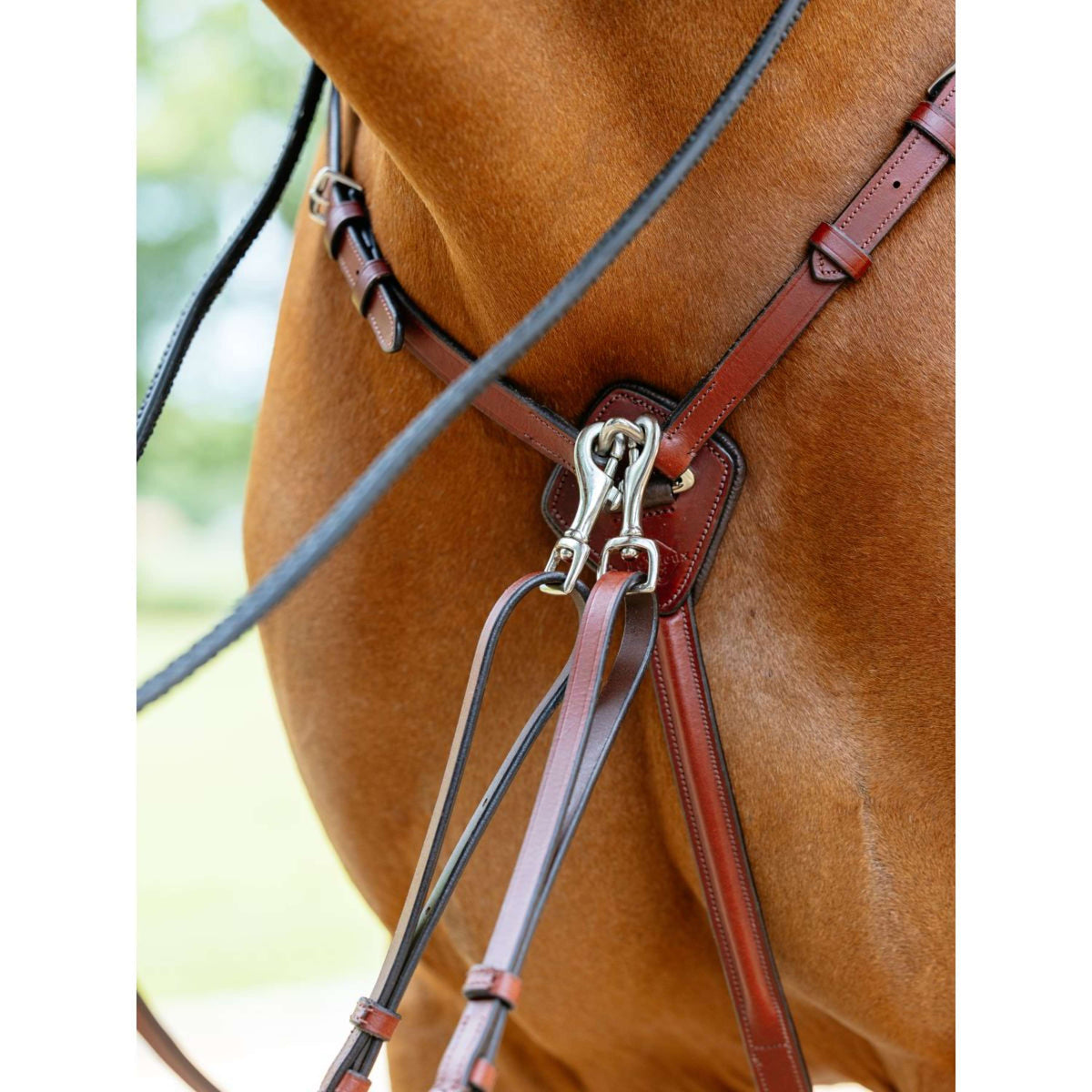 LeMieux Arnés de Pecho D-Ring Attachment Castaña