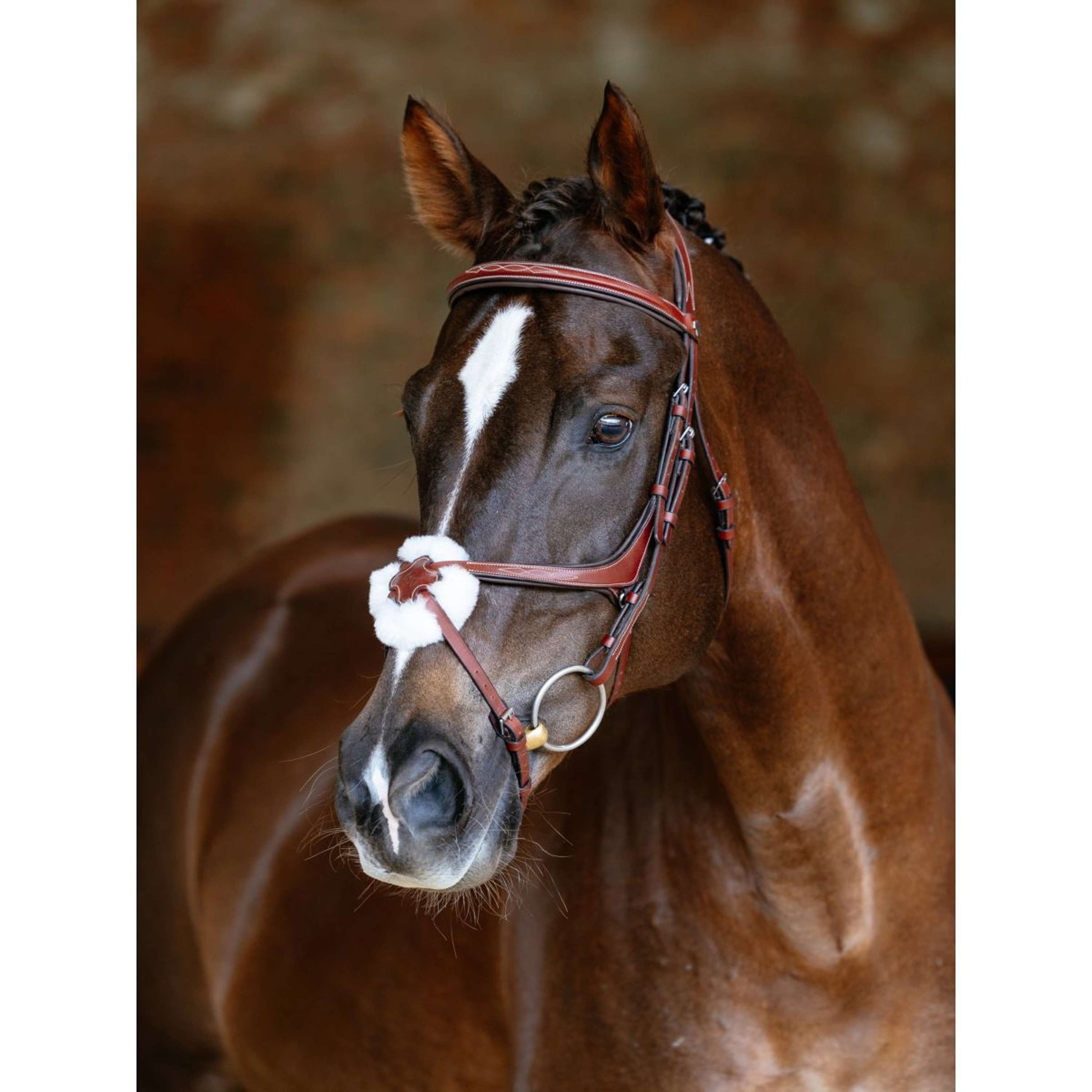 LeMieux Brida Kudos Grackle Castaña