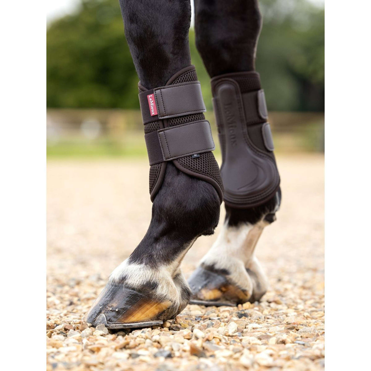 LeMieux Protectores de piernas Mesh Brushing New Marron