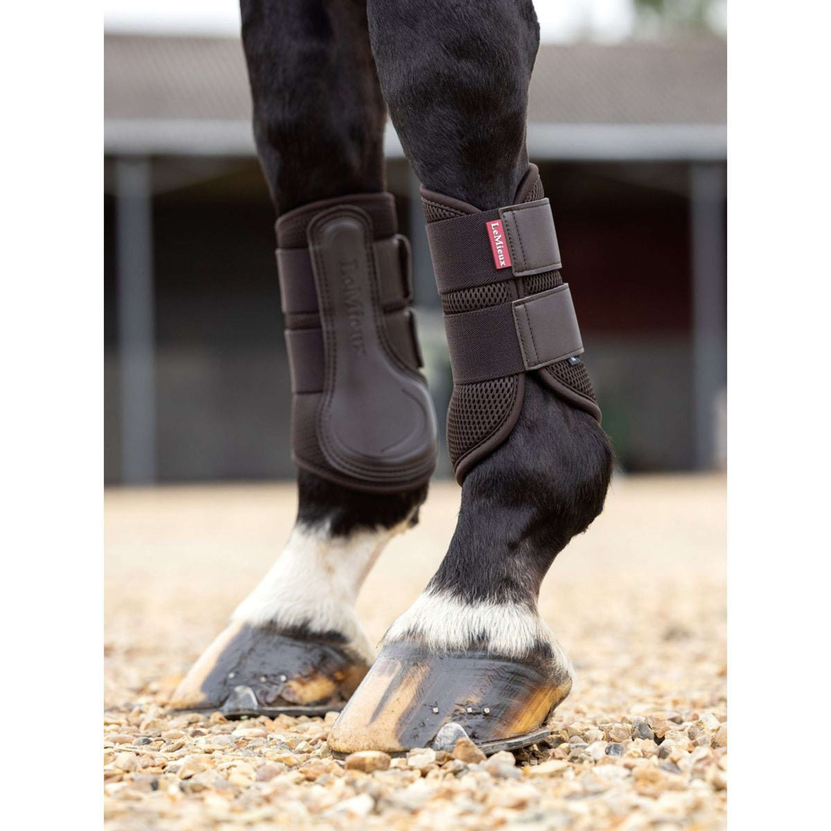 LeMieux Protectores de piernas Mesh Brushing New Marron