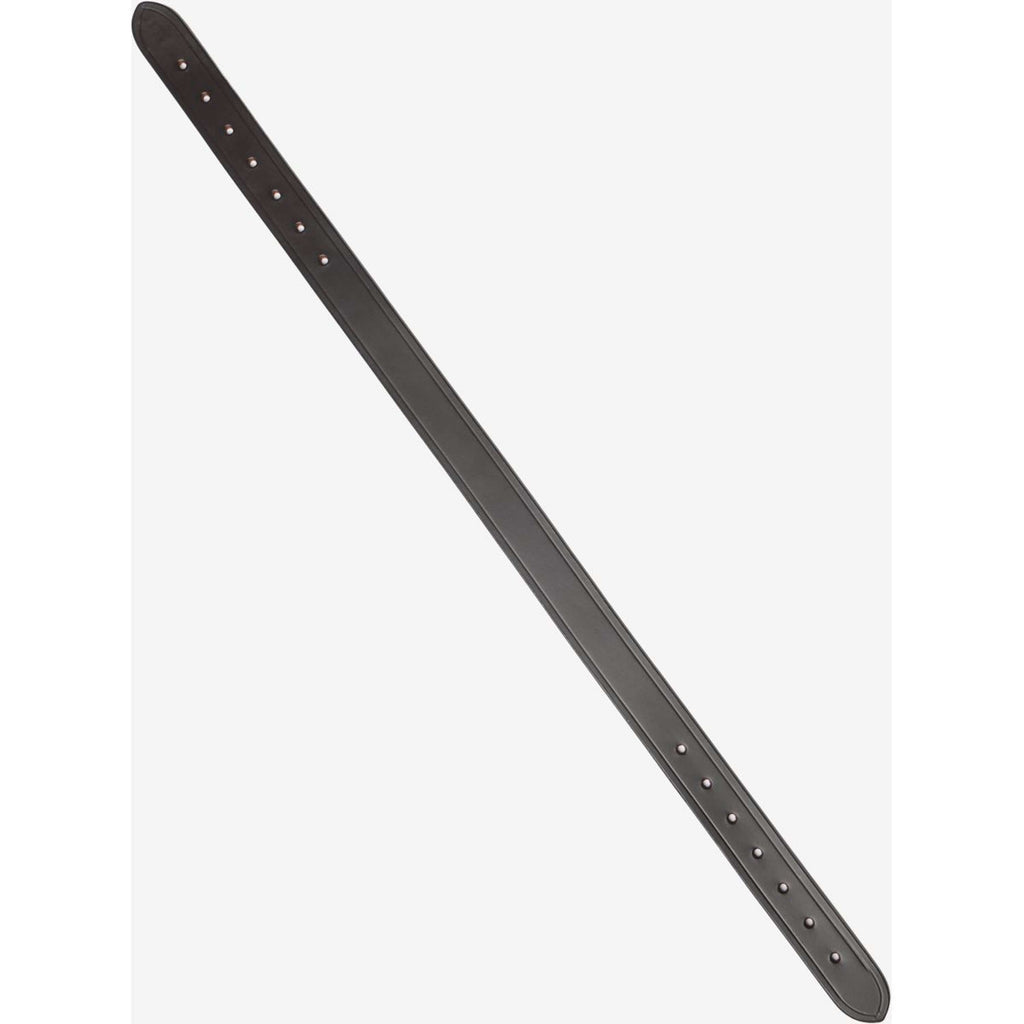 LeMieux Cabestro de recambio Break Away Headpiece Marron