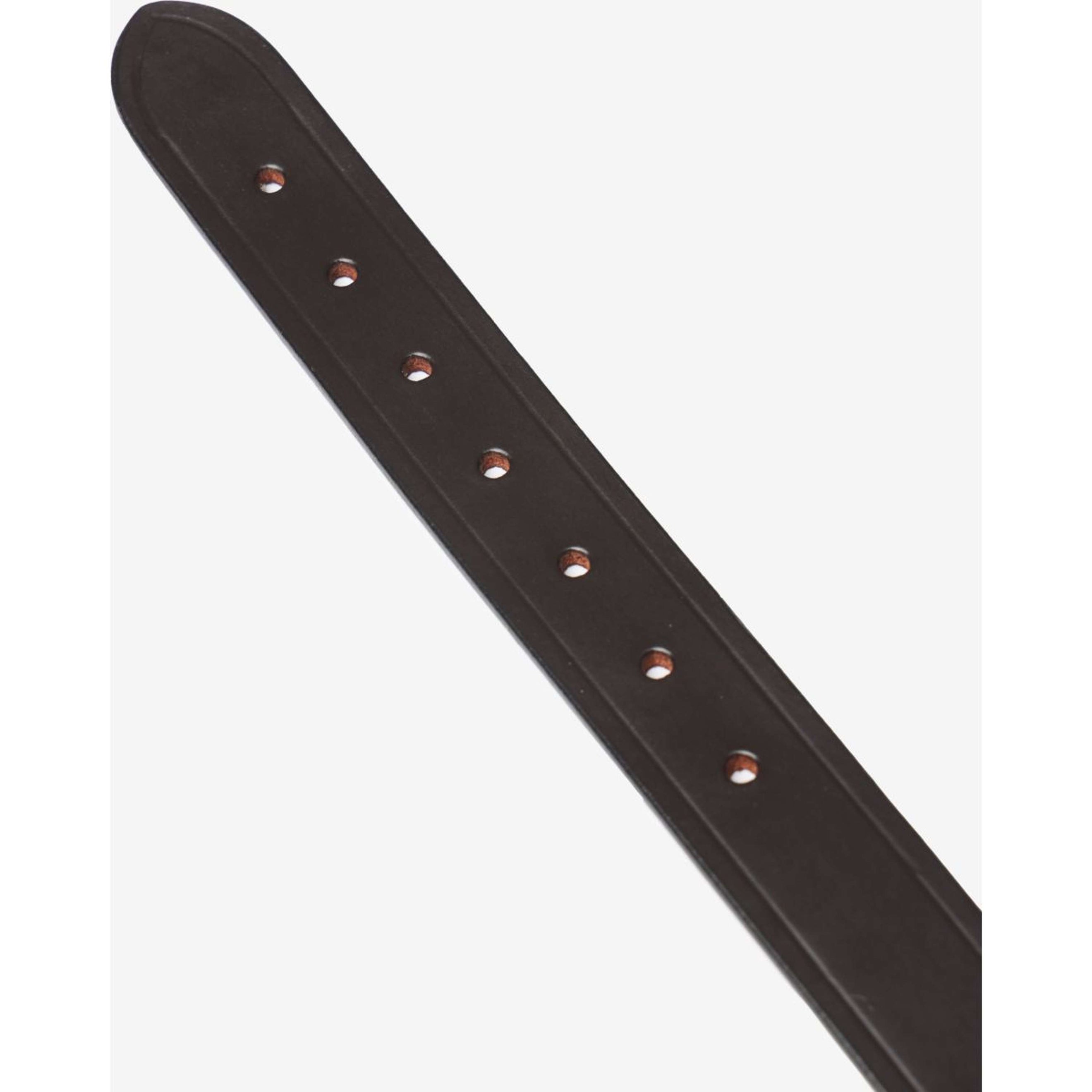 LeMieux Cabestro de recambio Break Away Headpiece Marron