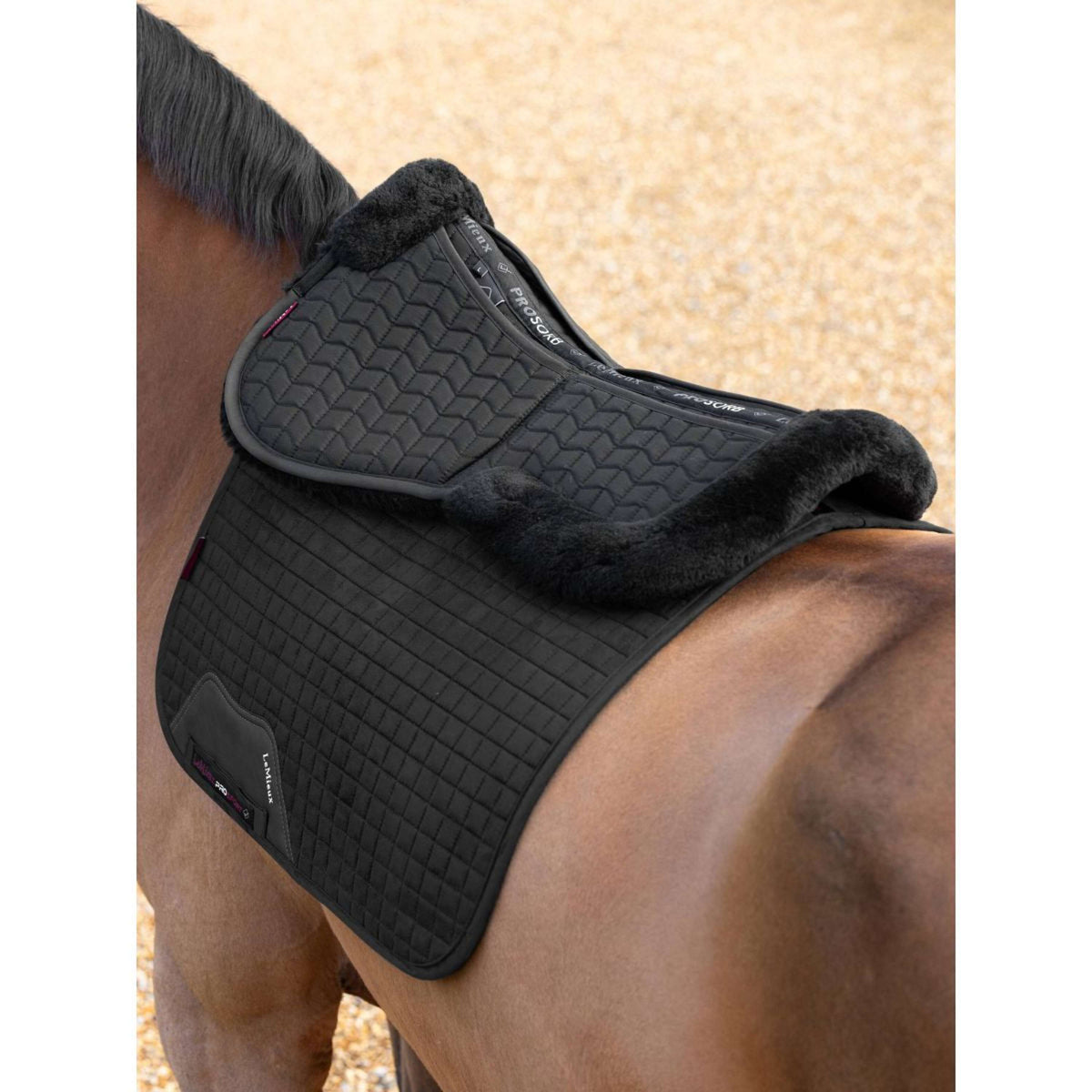 LeMieux Mantilla ProLambs Pro-Sorb Negro/Negro