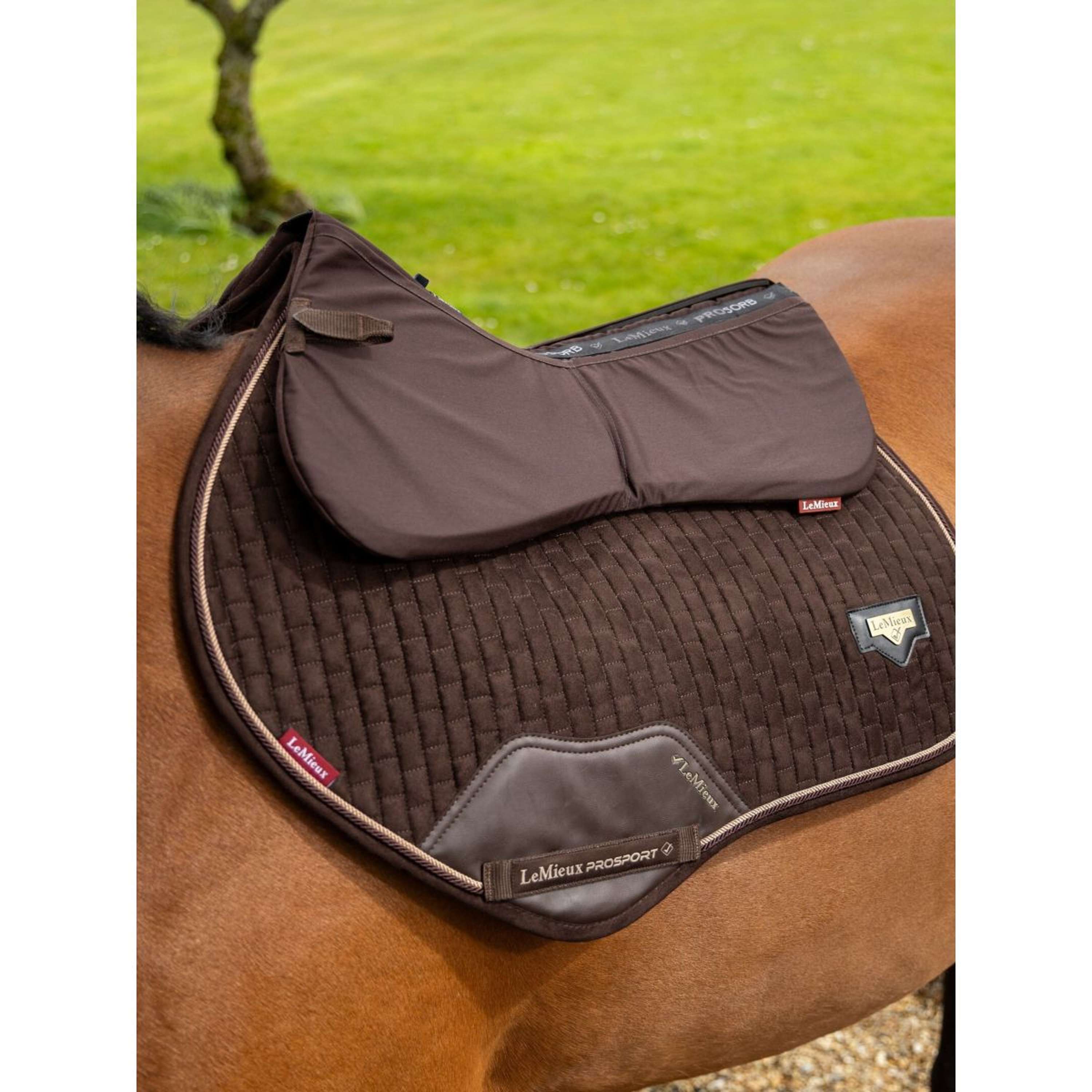 LeMieux Mantilla Pro-Sorb Plain Marron
